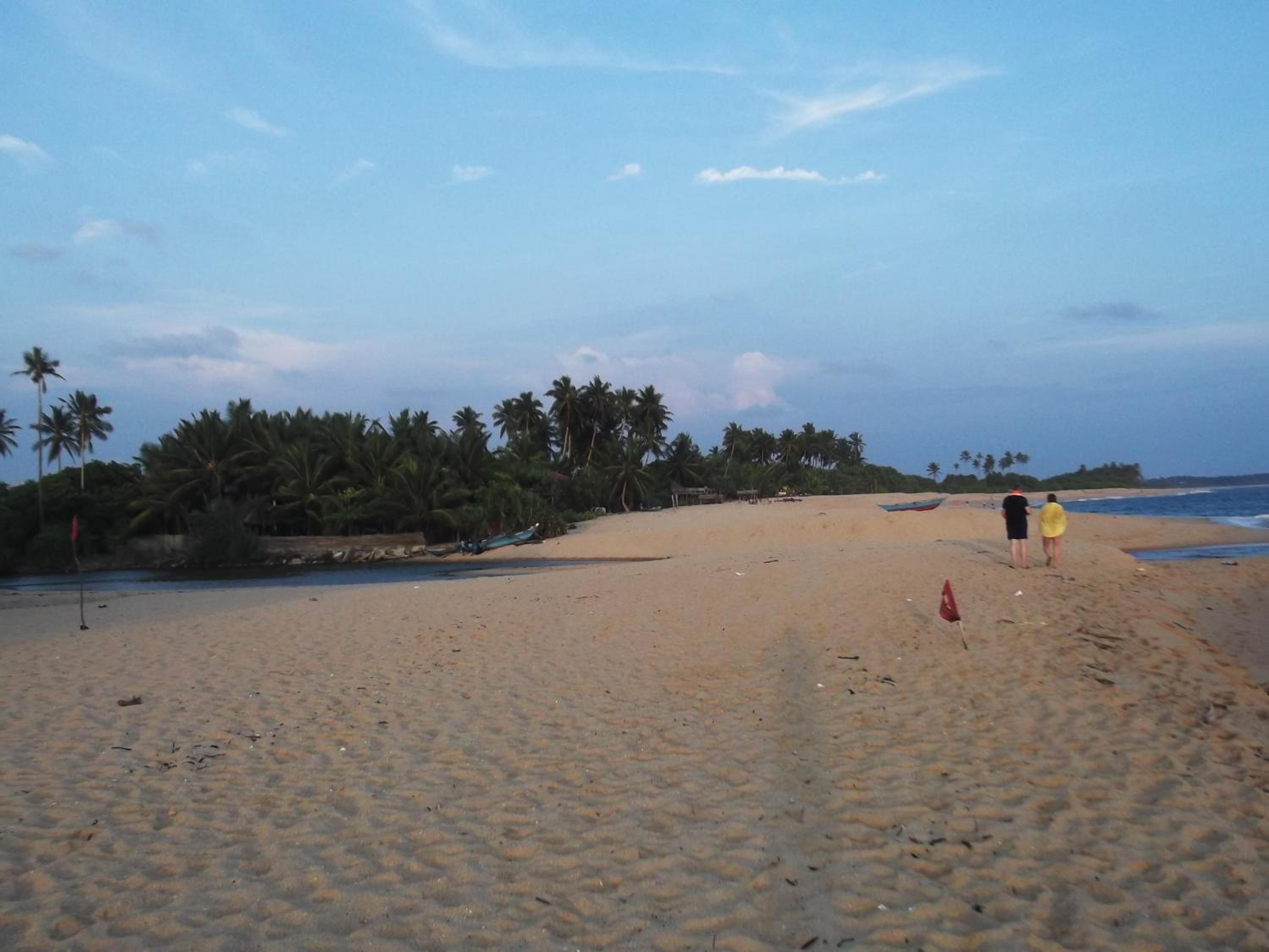 Photo 42