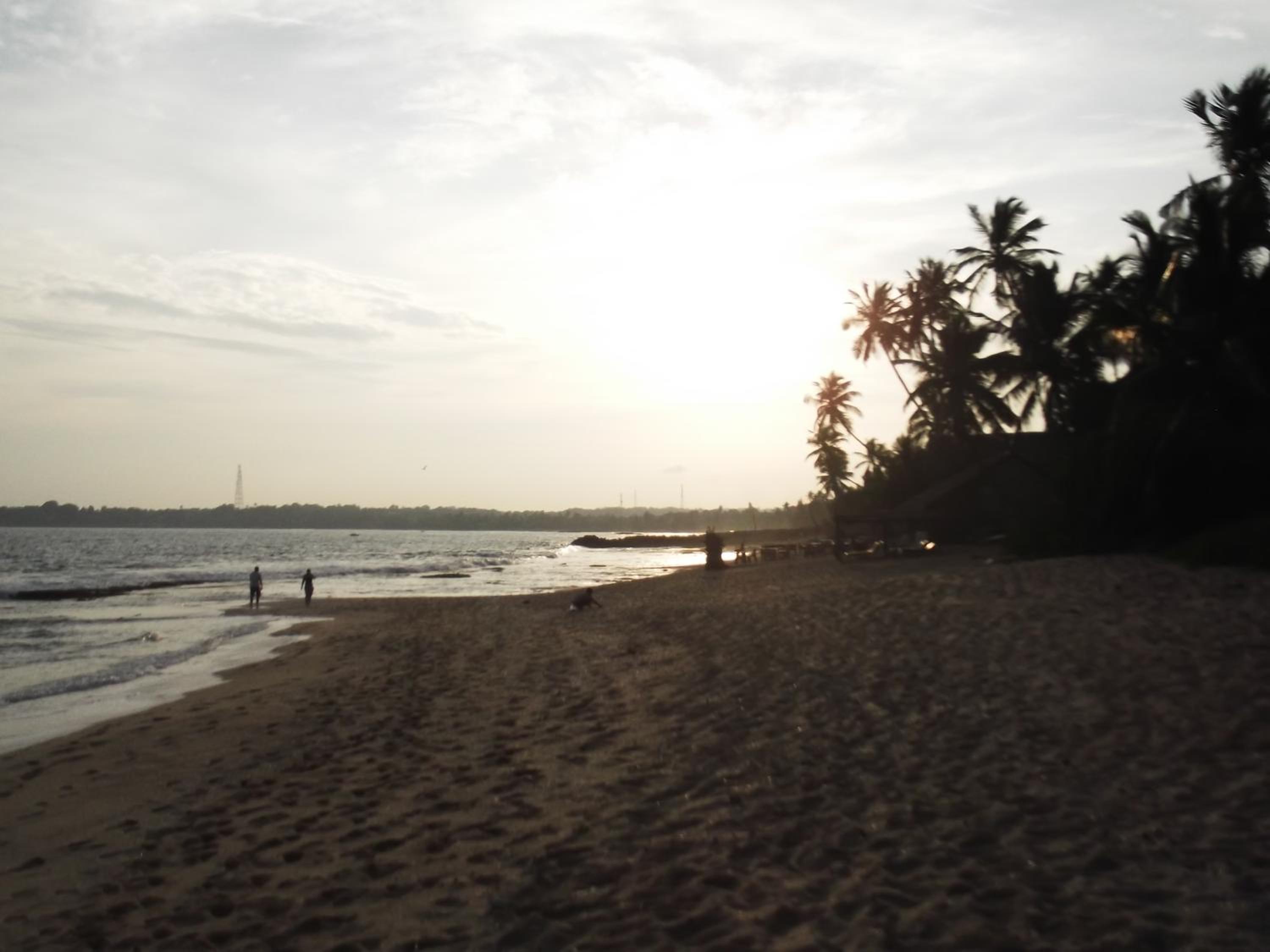 Photo 44