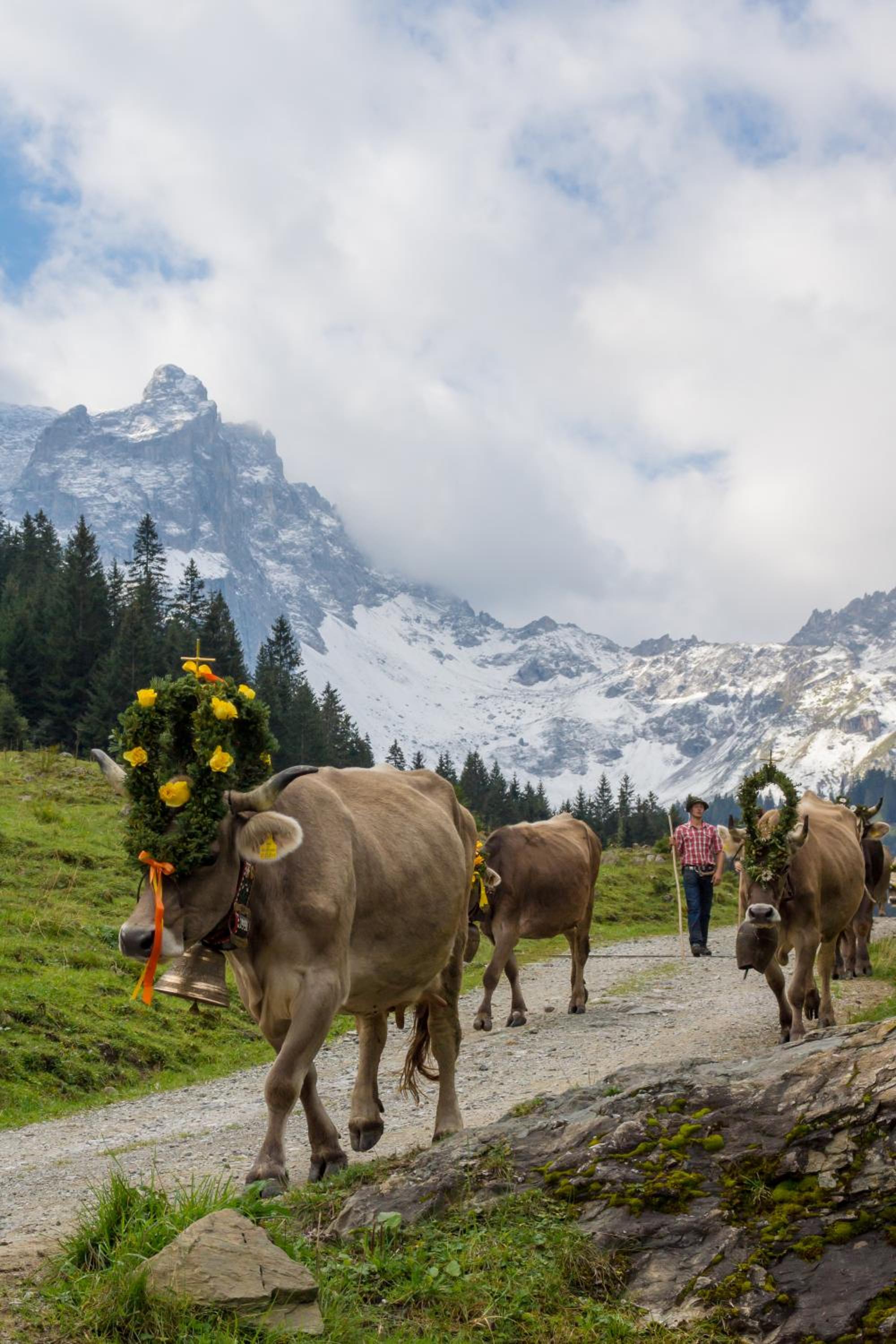 Ferienhäuser Tschofen Garfrescha