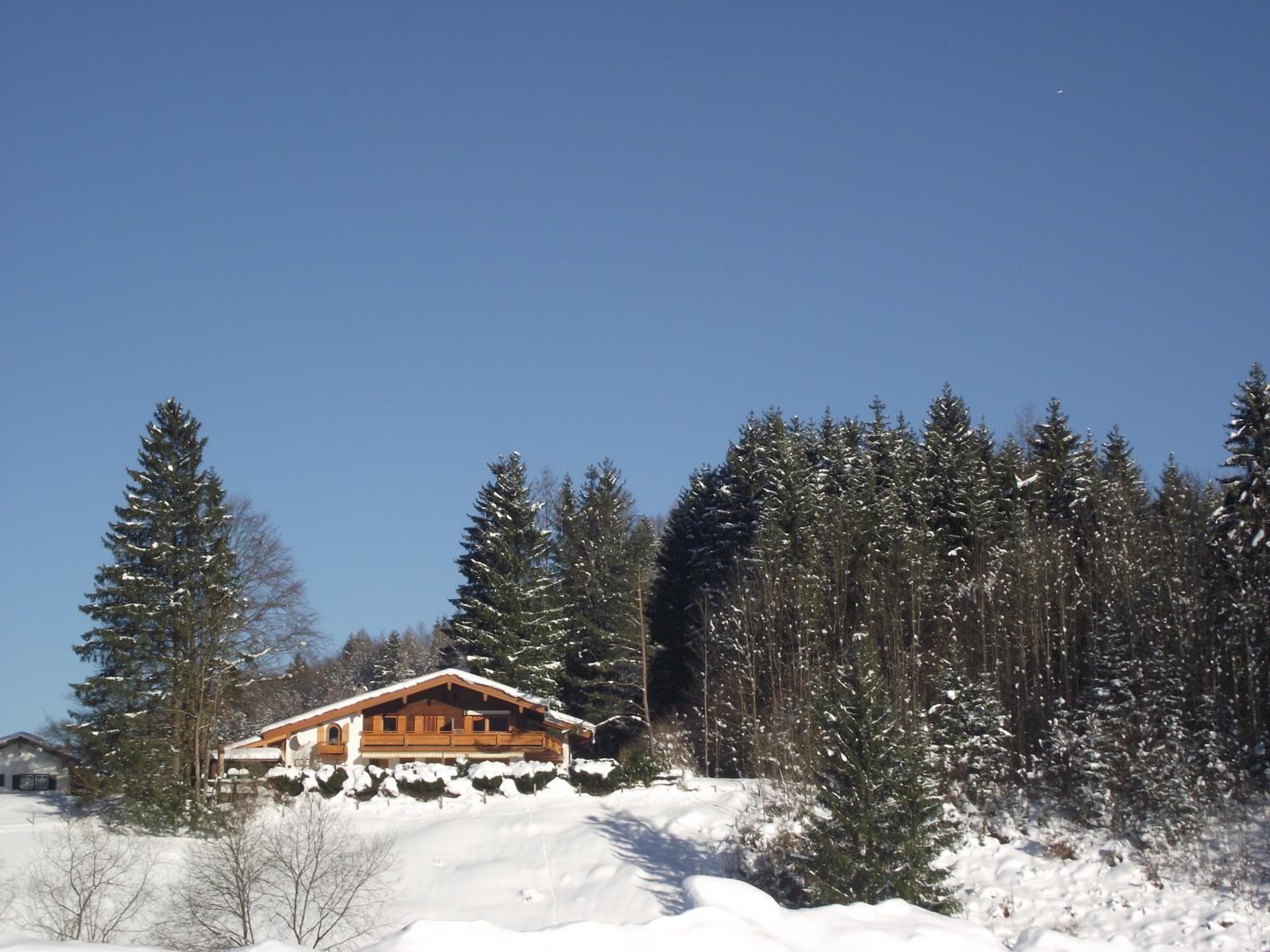 Ferienwohnung am Römerweg Wald view 2