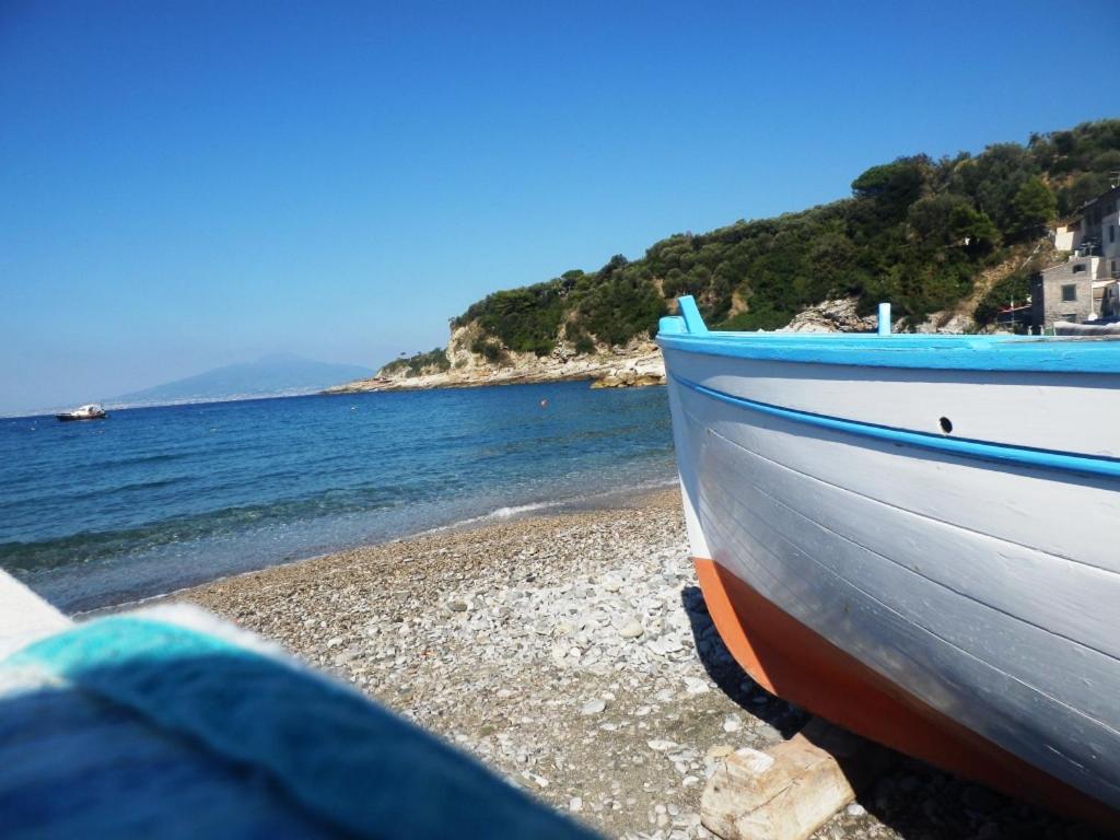 Alta Marea Sorrento photo 3