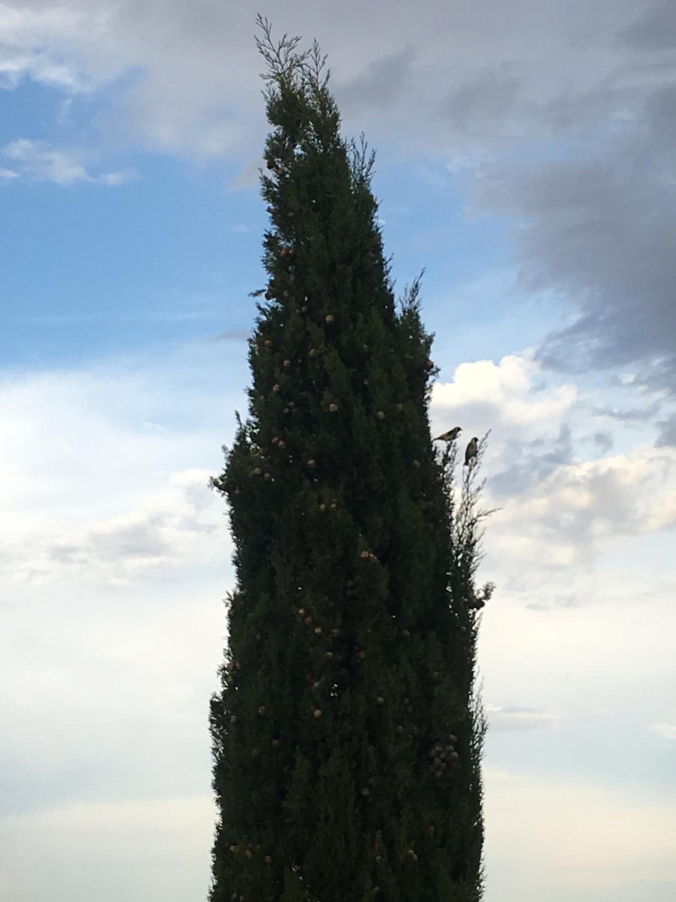 Photo 34