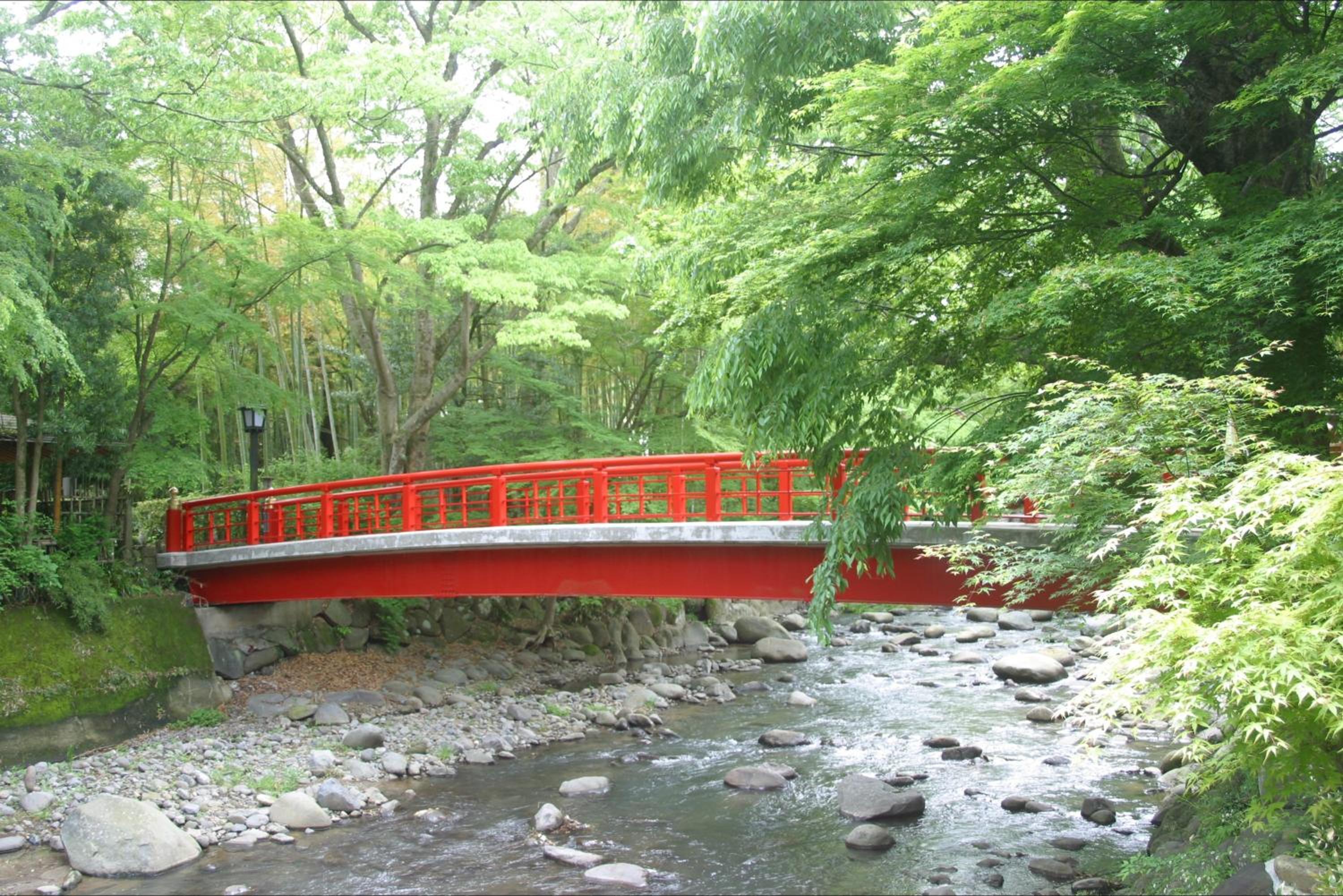 Photo 26