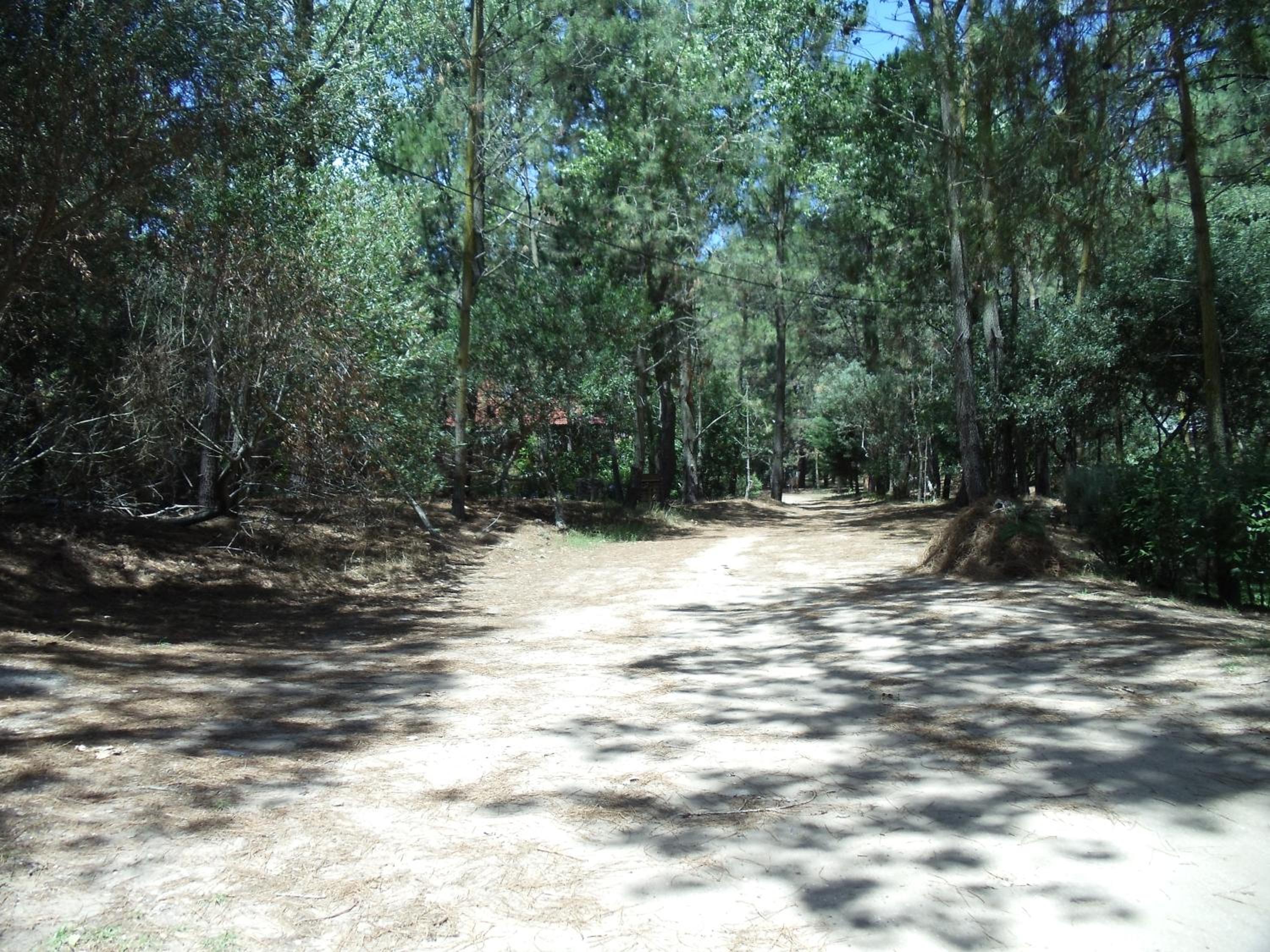 Patagonia Playa Bosque