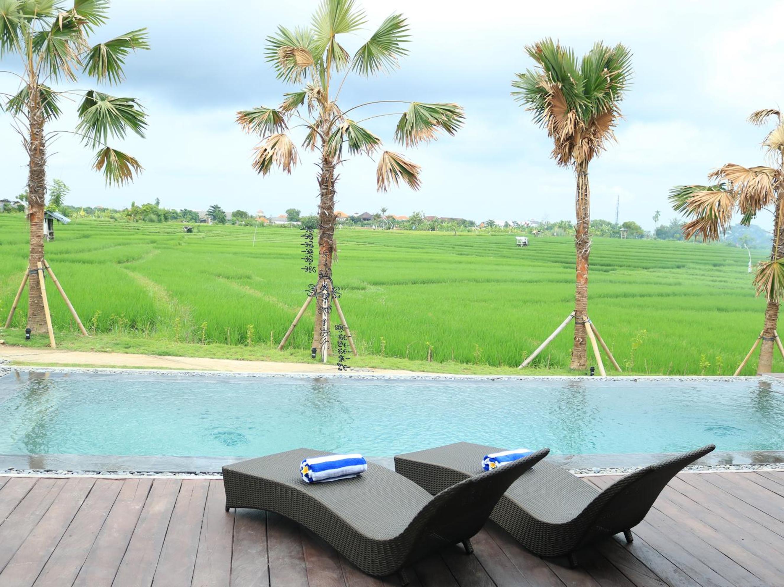 Kampung Canggu view 5