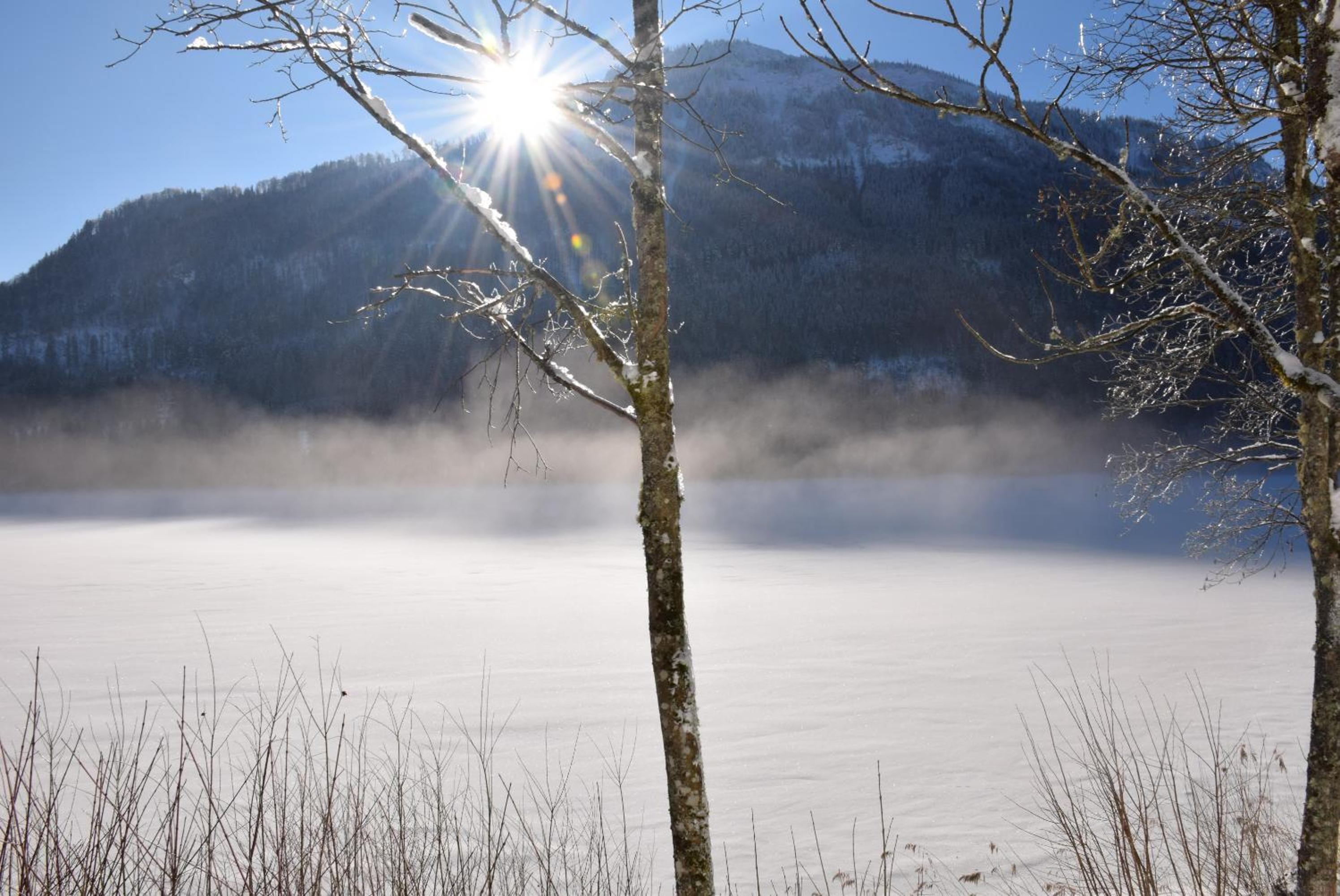 Apartment Bergsee