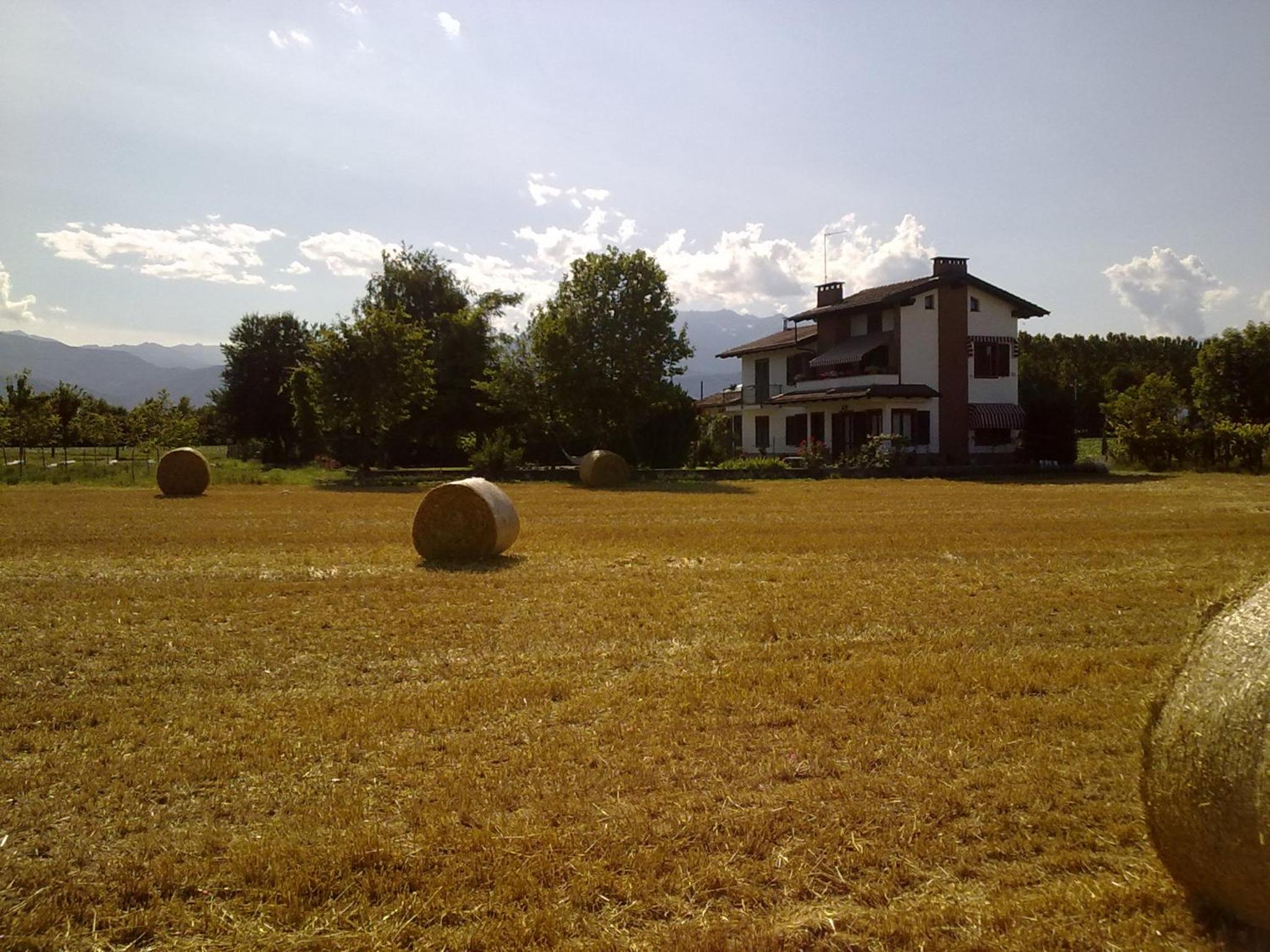 I 99 ulivi view 2
