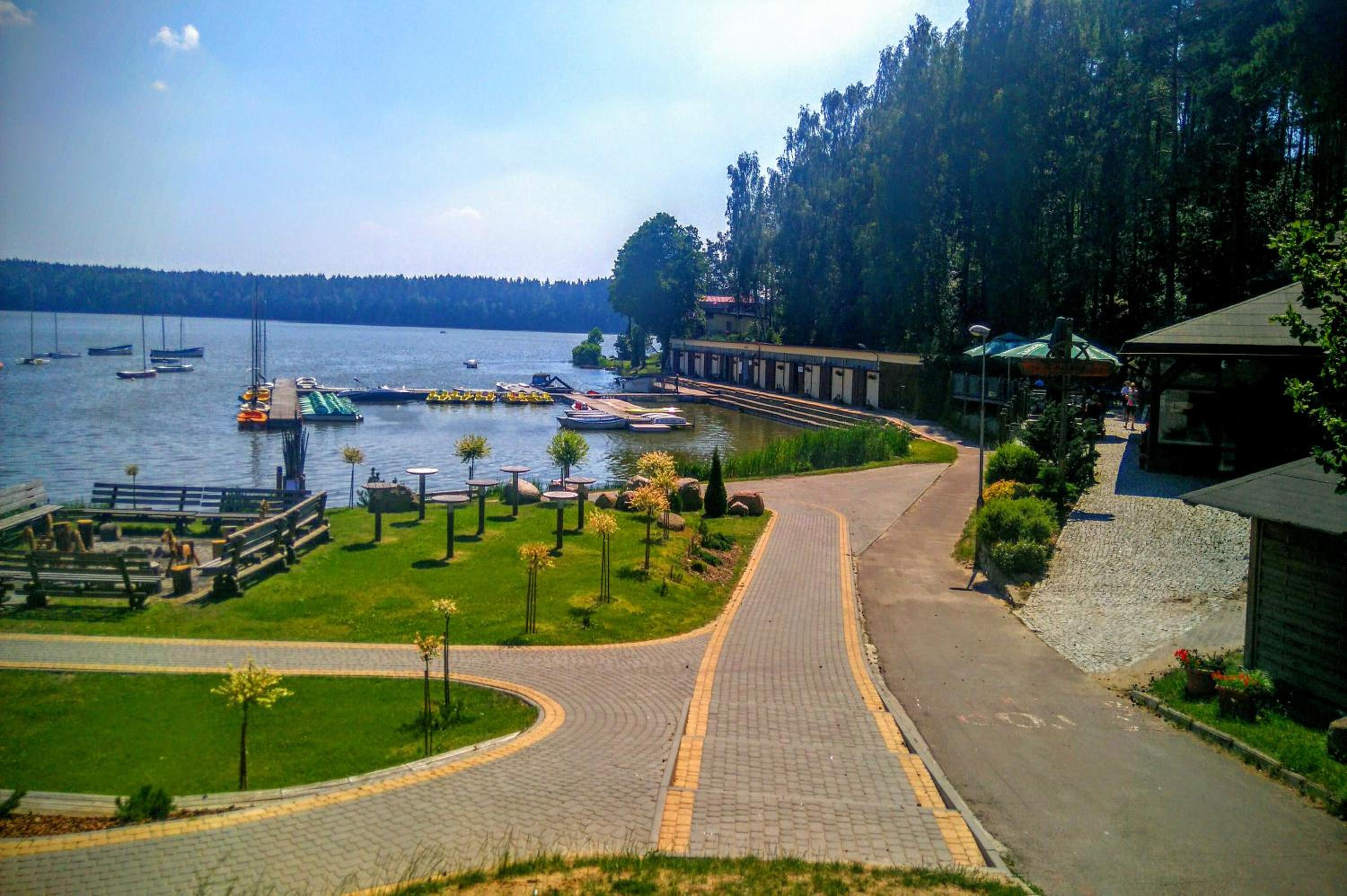 Photo 42