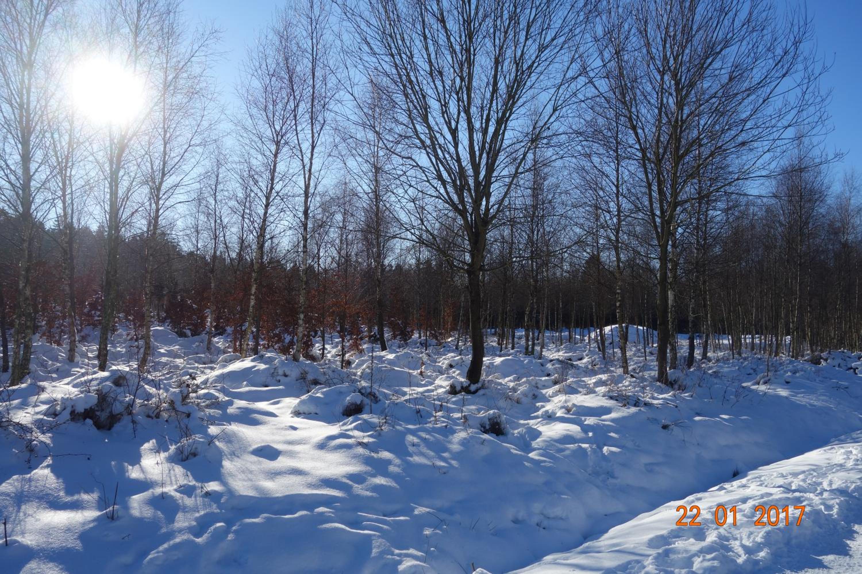 Photo 15
