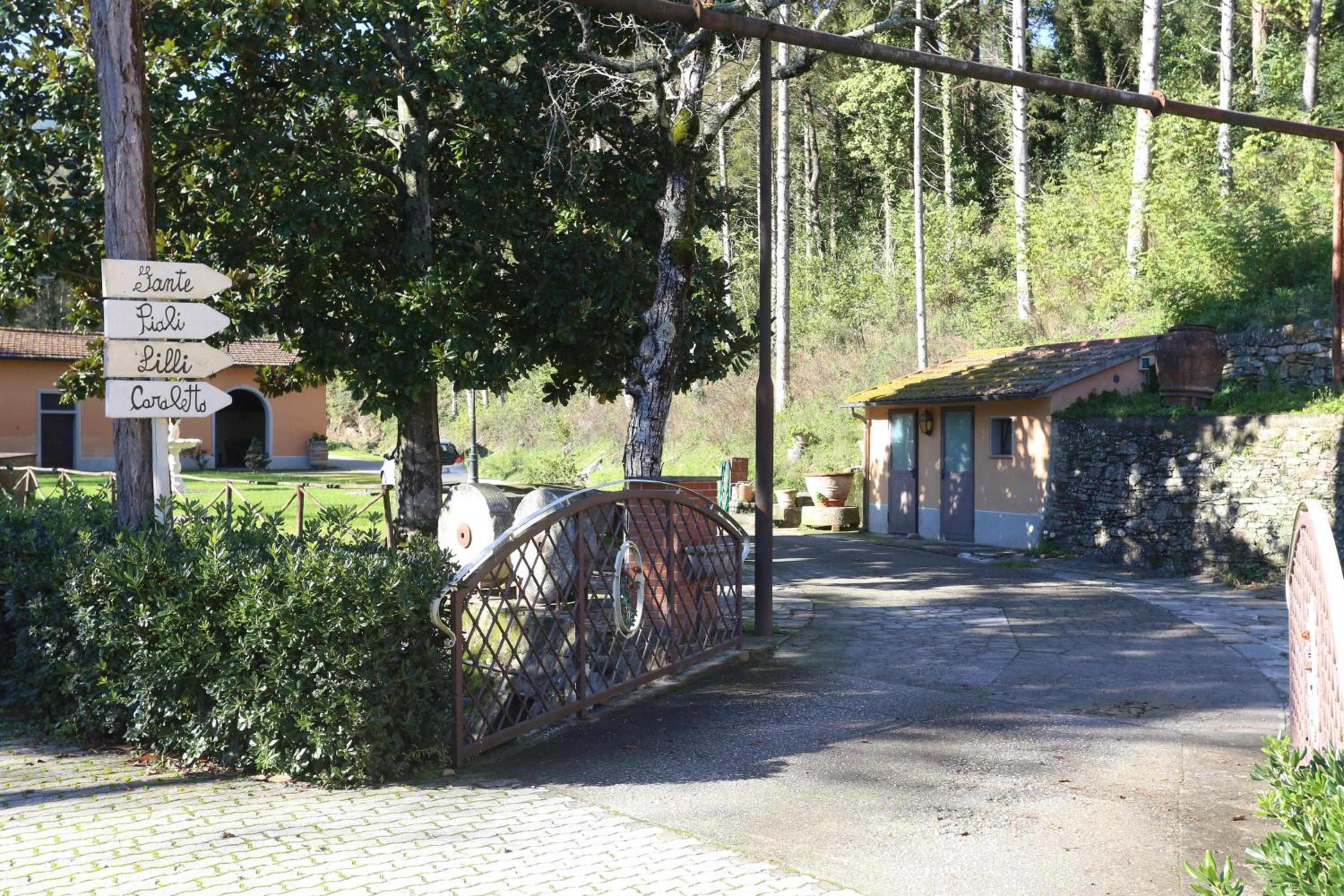Photo 11