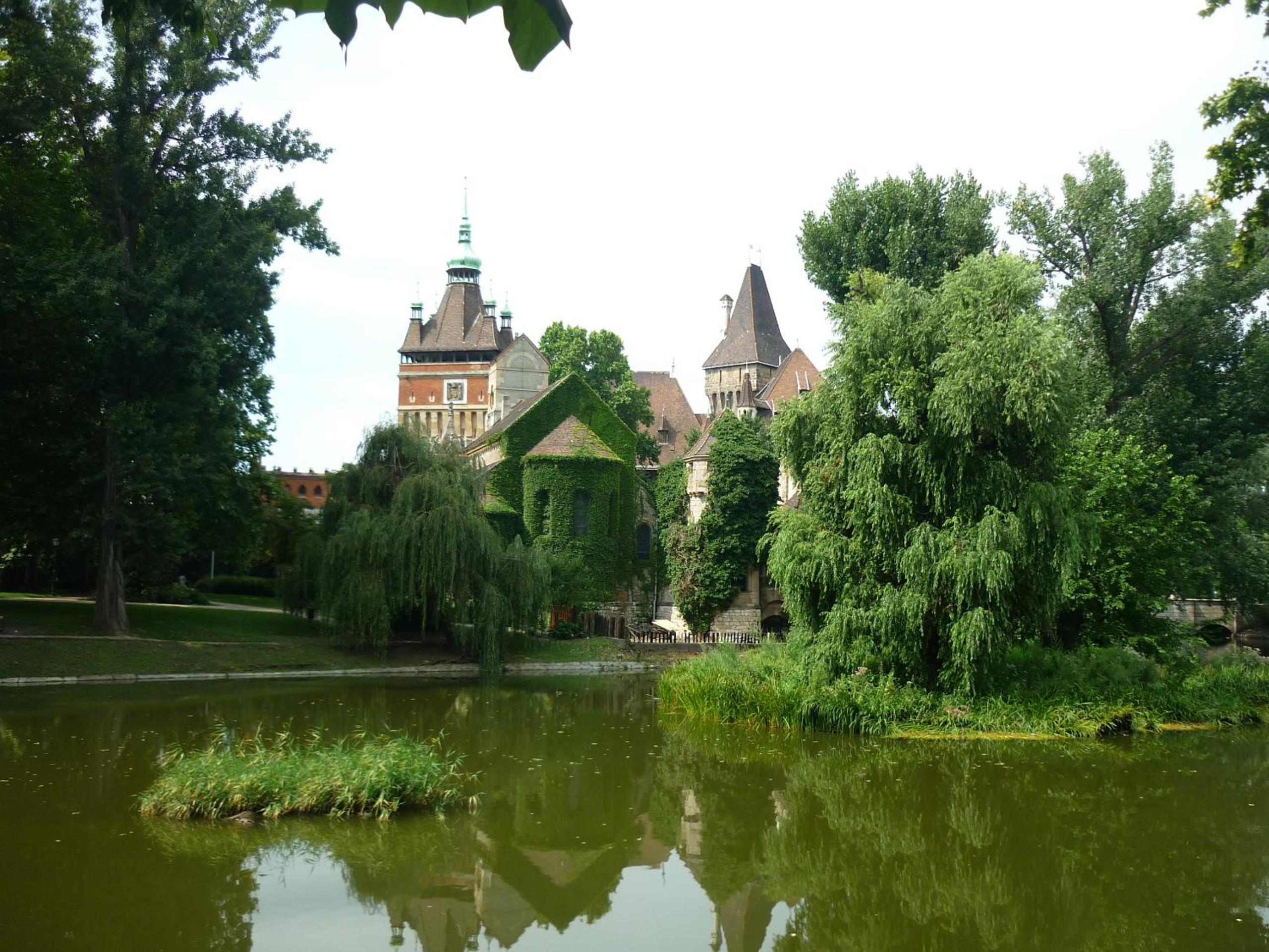 Photo 13