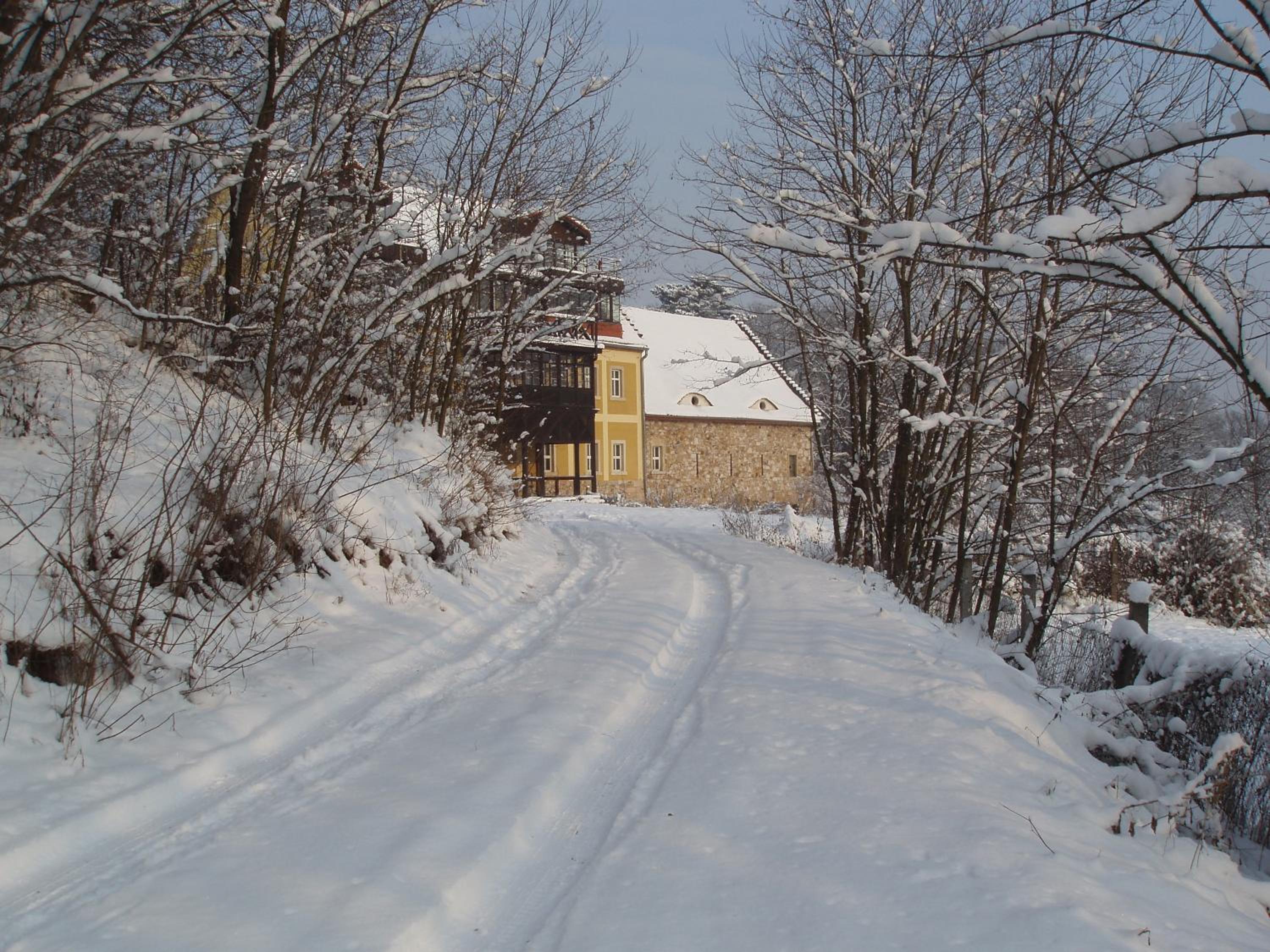 Photo 13