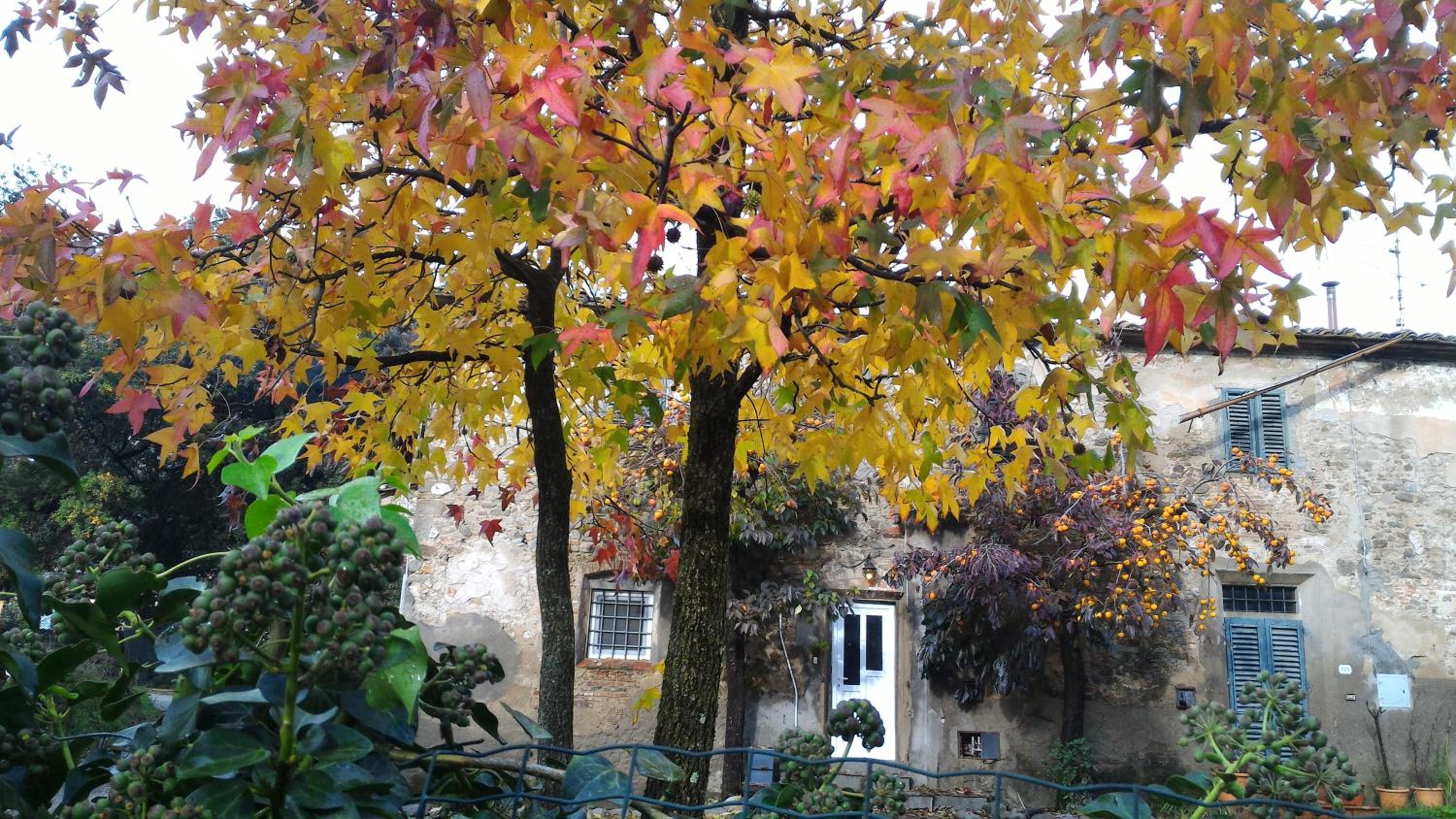 Photo 41