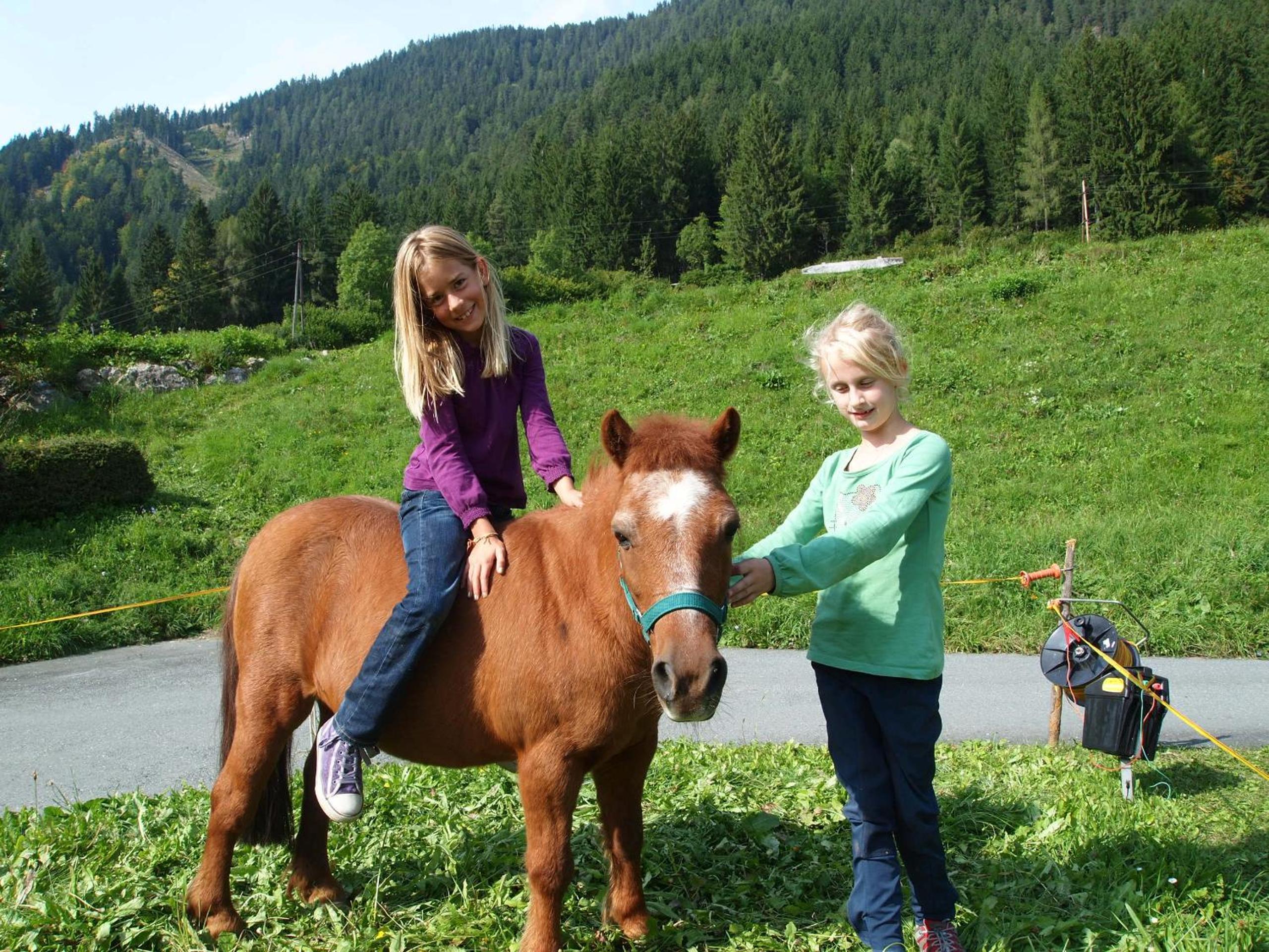Ferienhof Obergasser und Bergblick