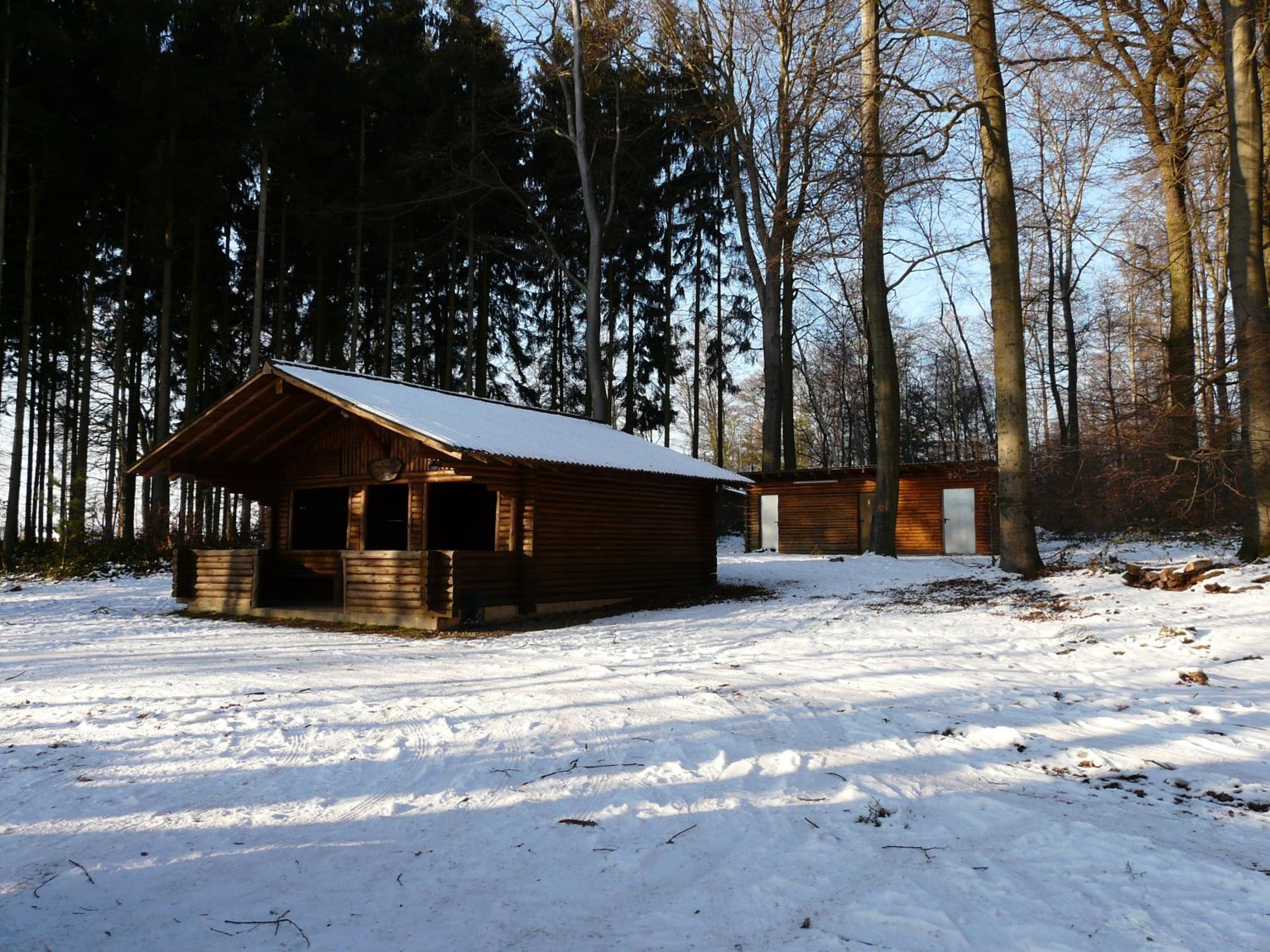 Photo 23