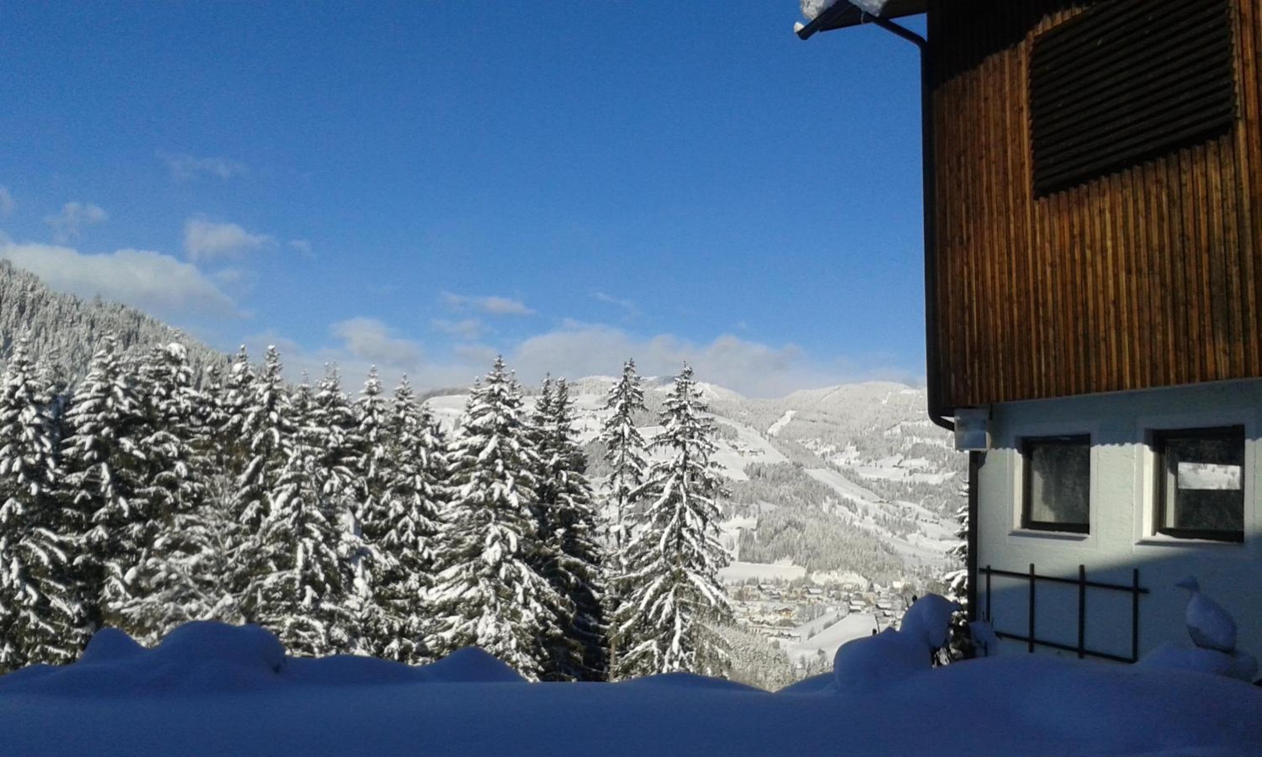 Pension Chalet Bergseegut