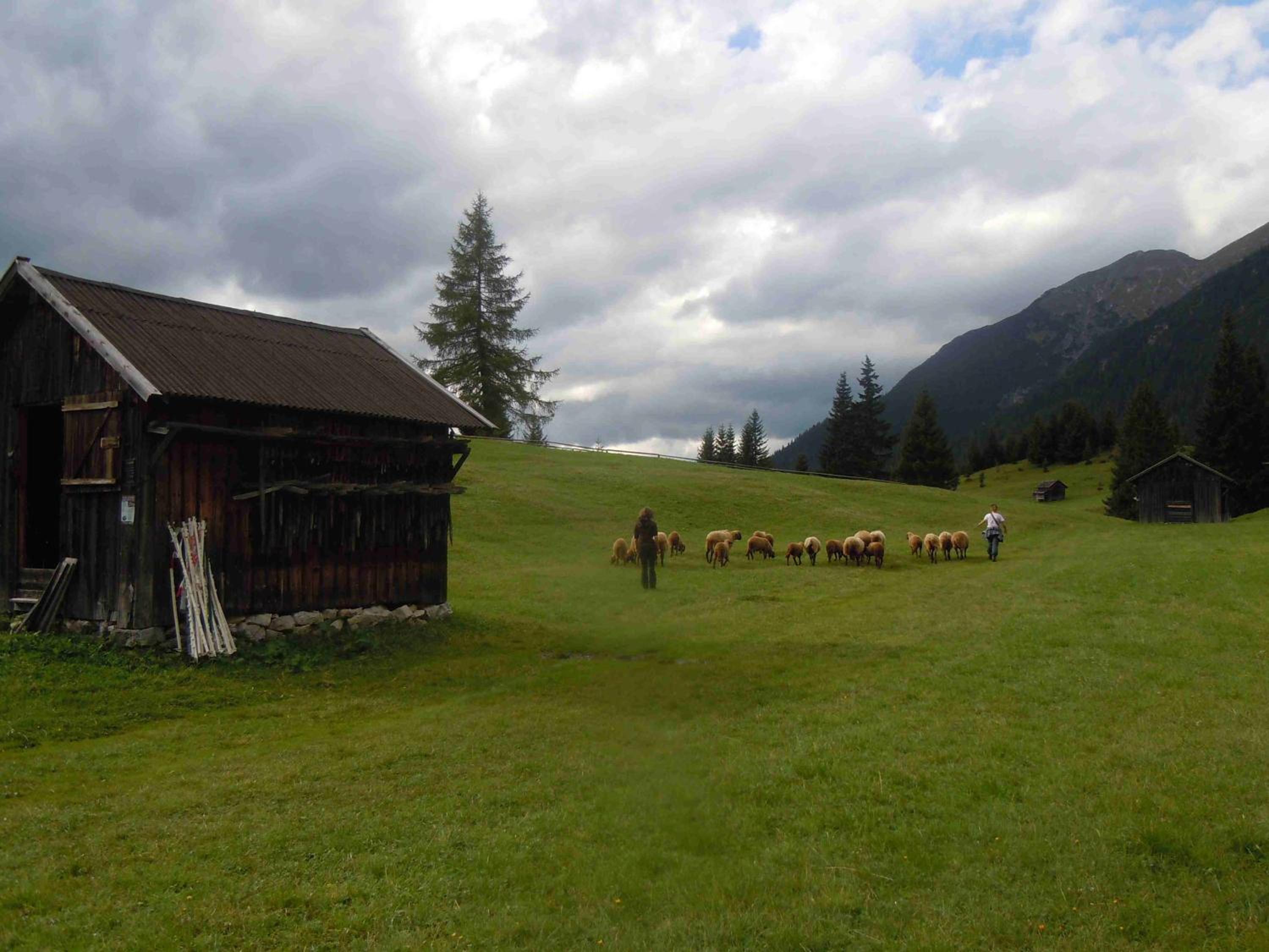 Rimmlstube & Rimmlhof