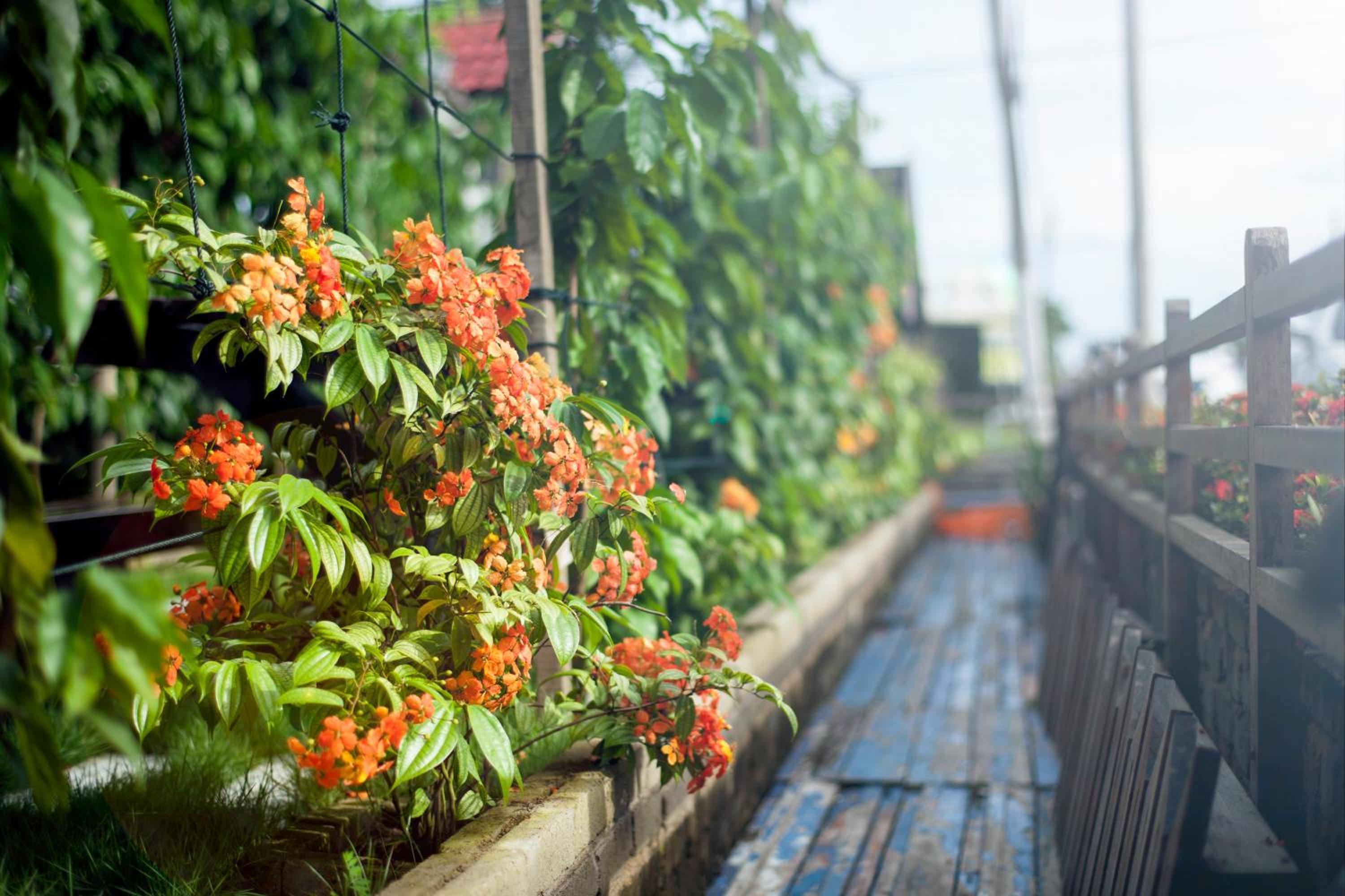 House Of My Eternal Love - Kulai Homestay