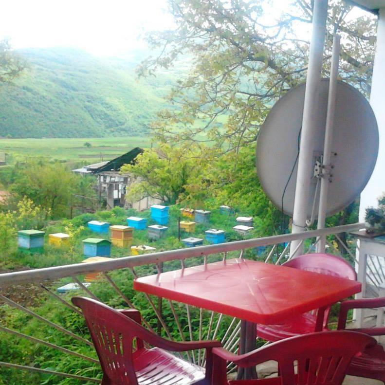 Anush`s B&B