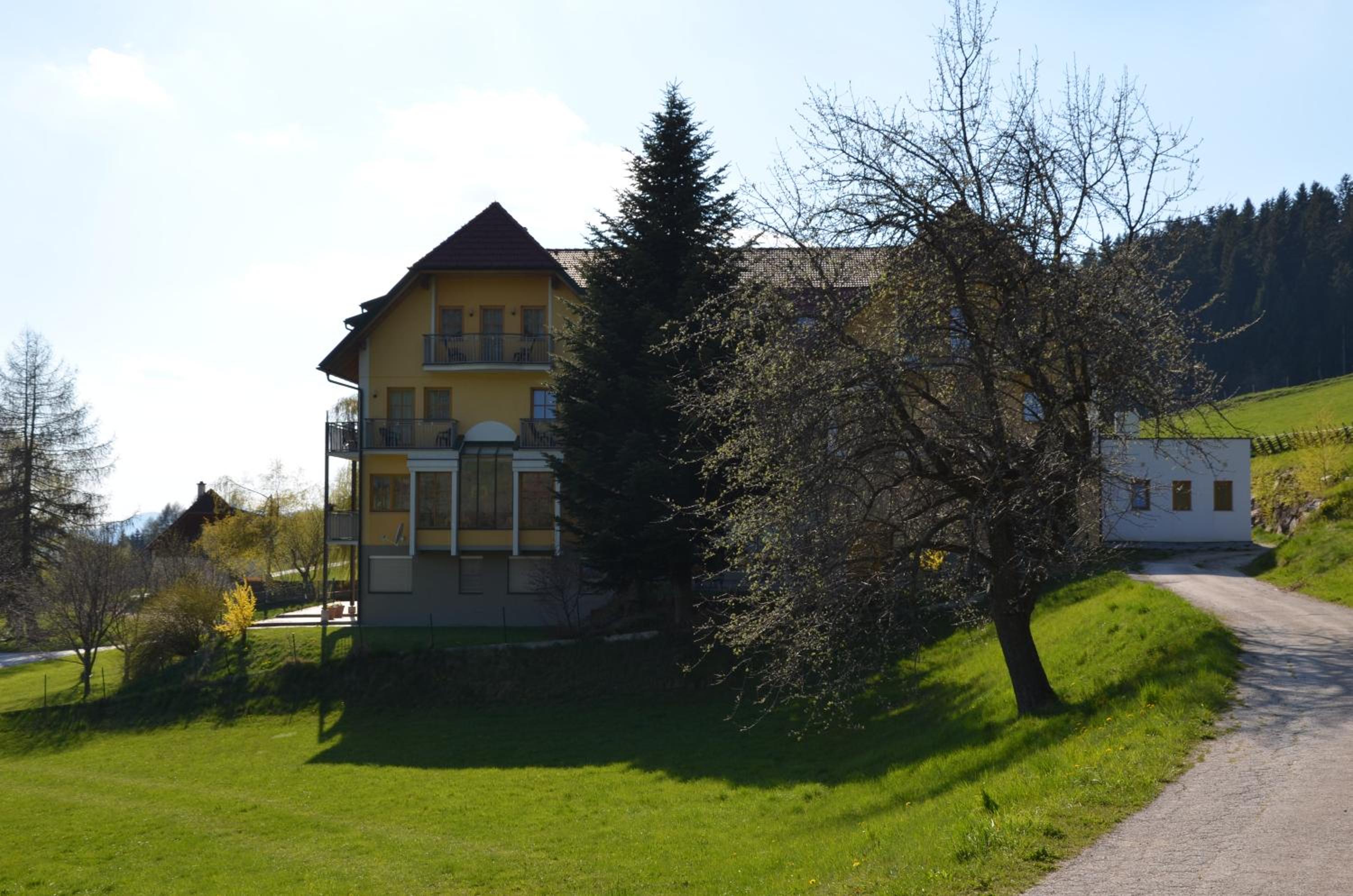 Photo 50