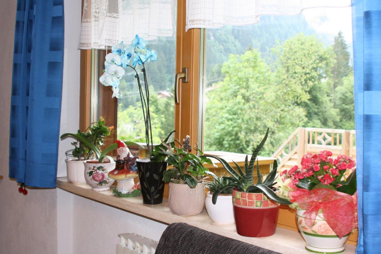 Haus Stöckl