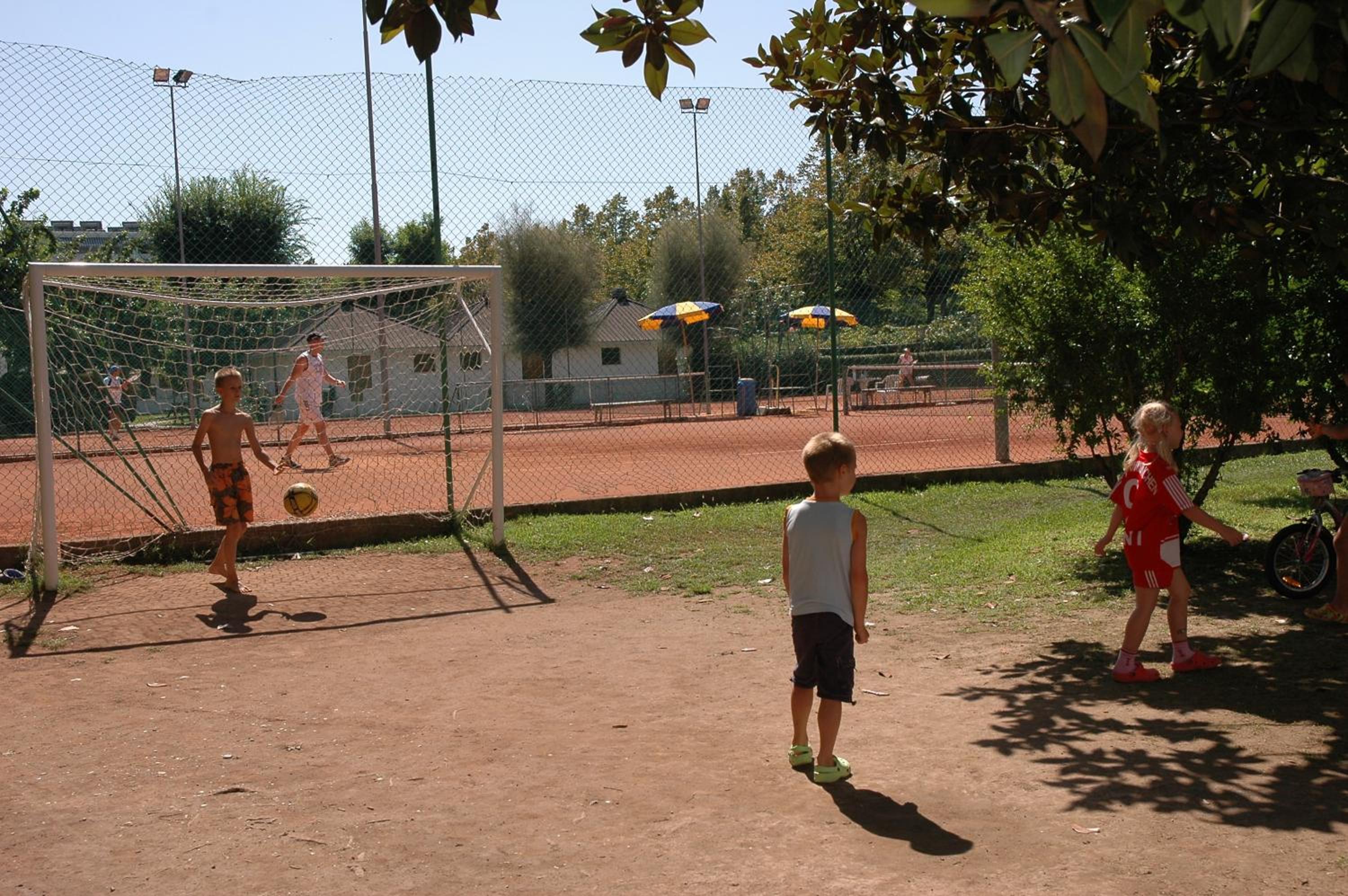 Photo 31