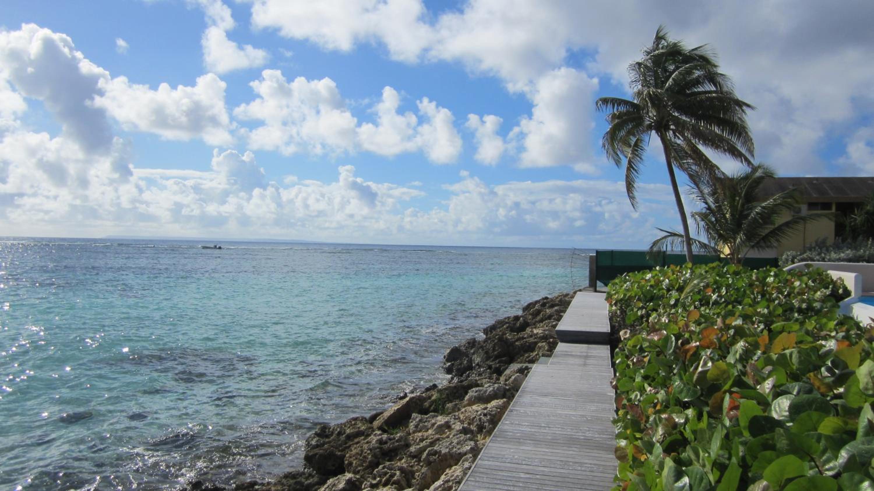 Eden Blue view 4