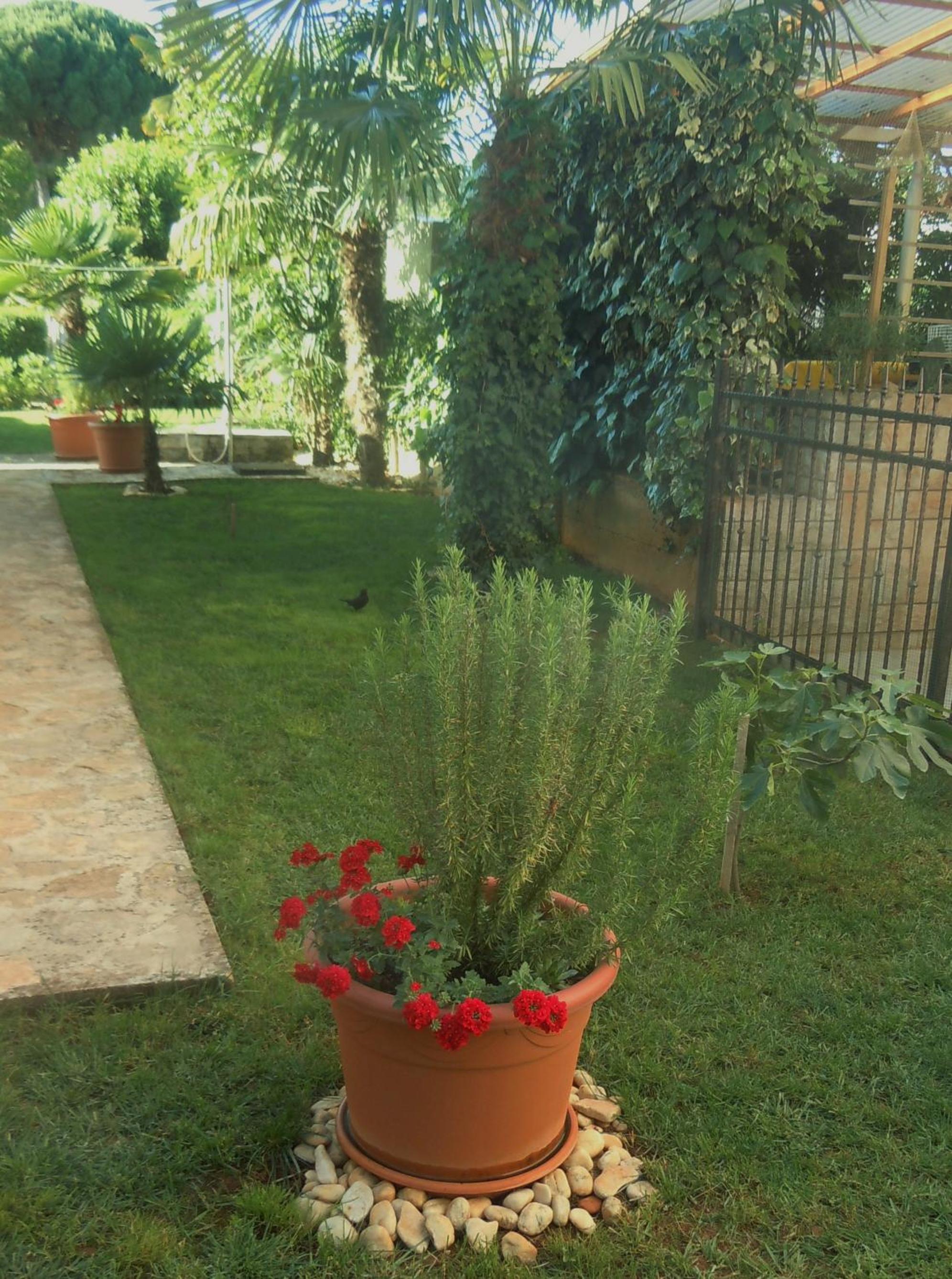 Photo 30