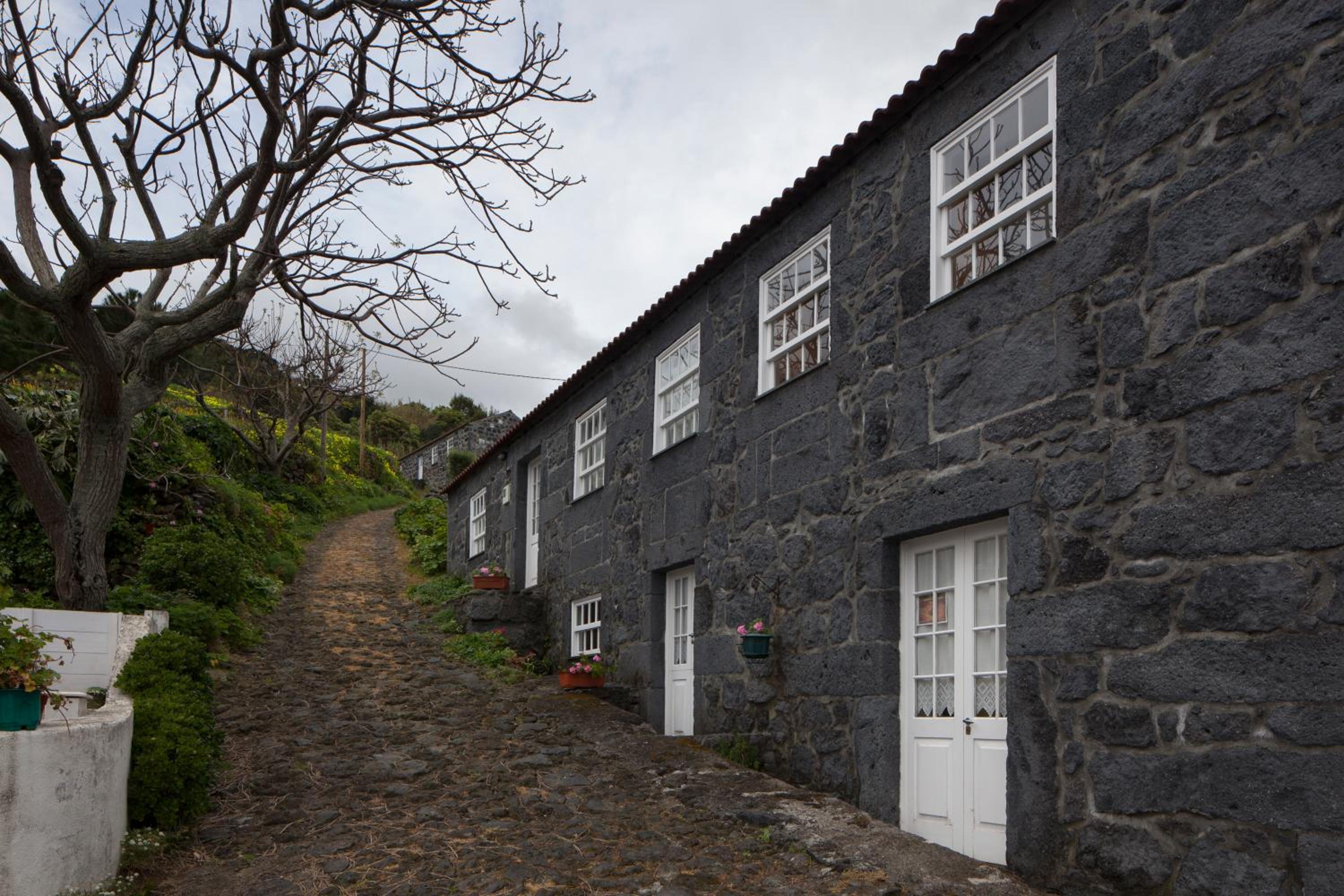 Casa do Zé - AL