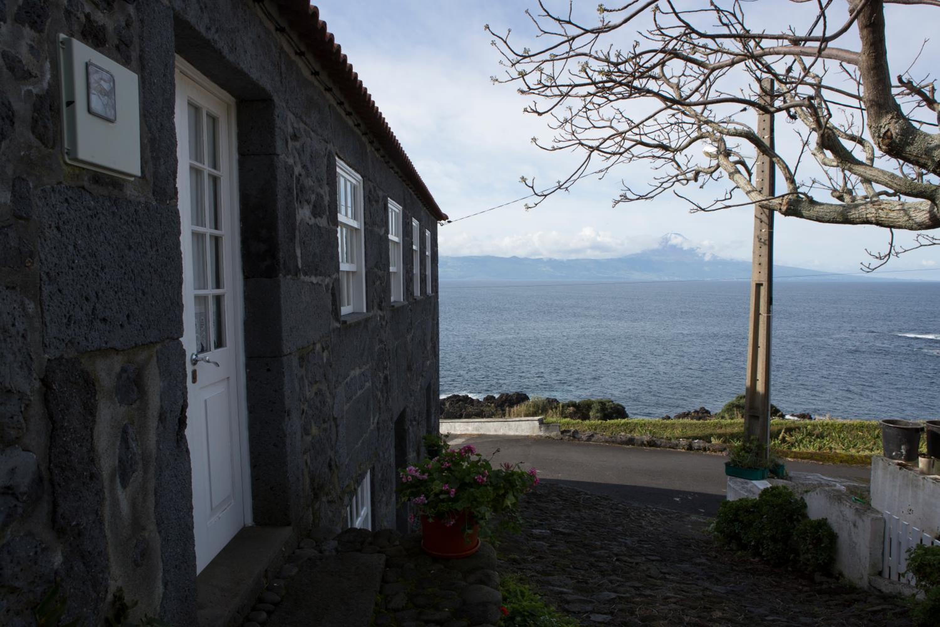 Casa do Zé - AL