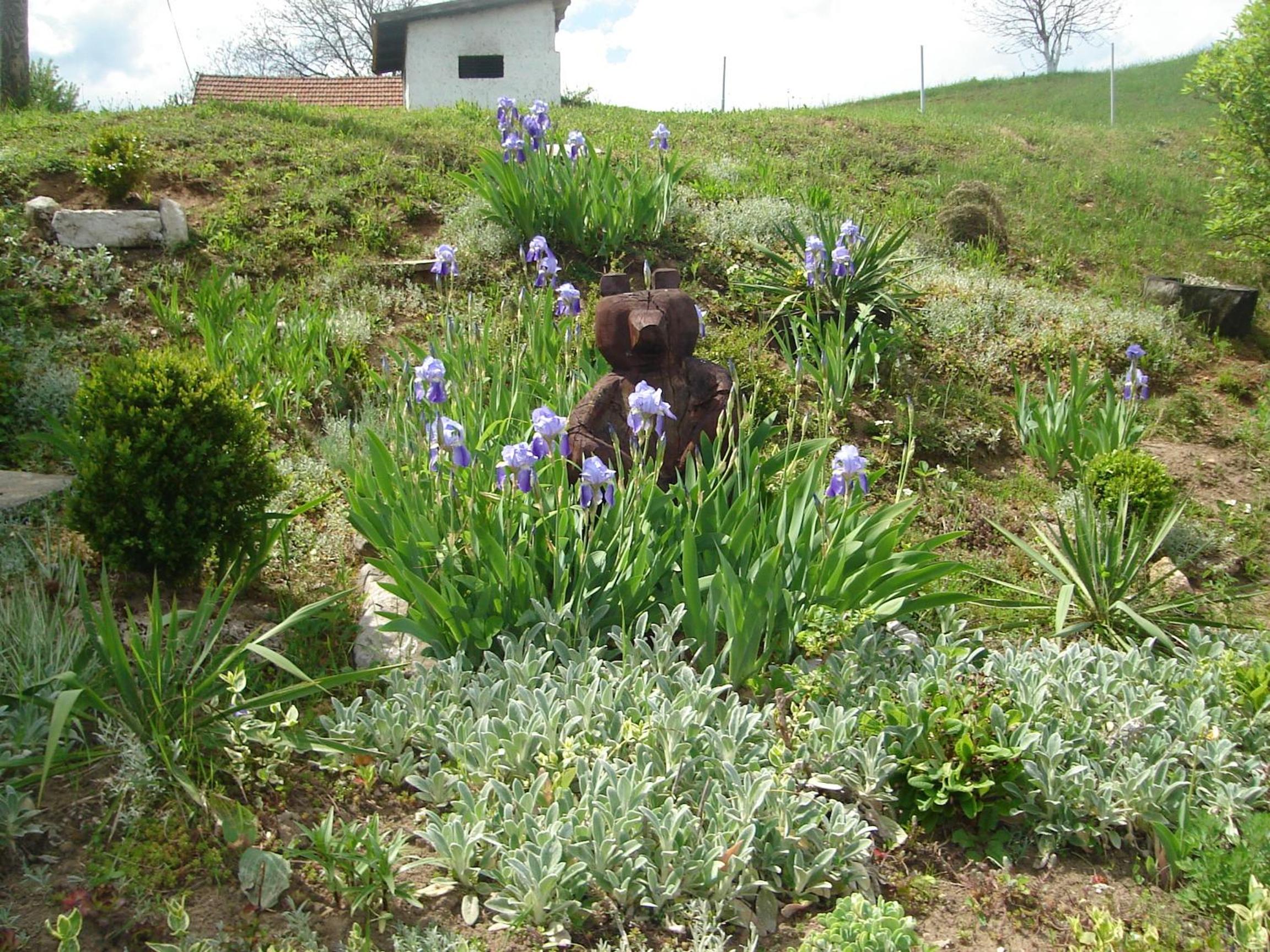 Photo 49