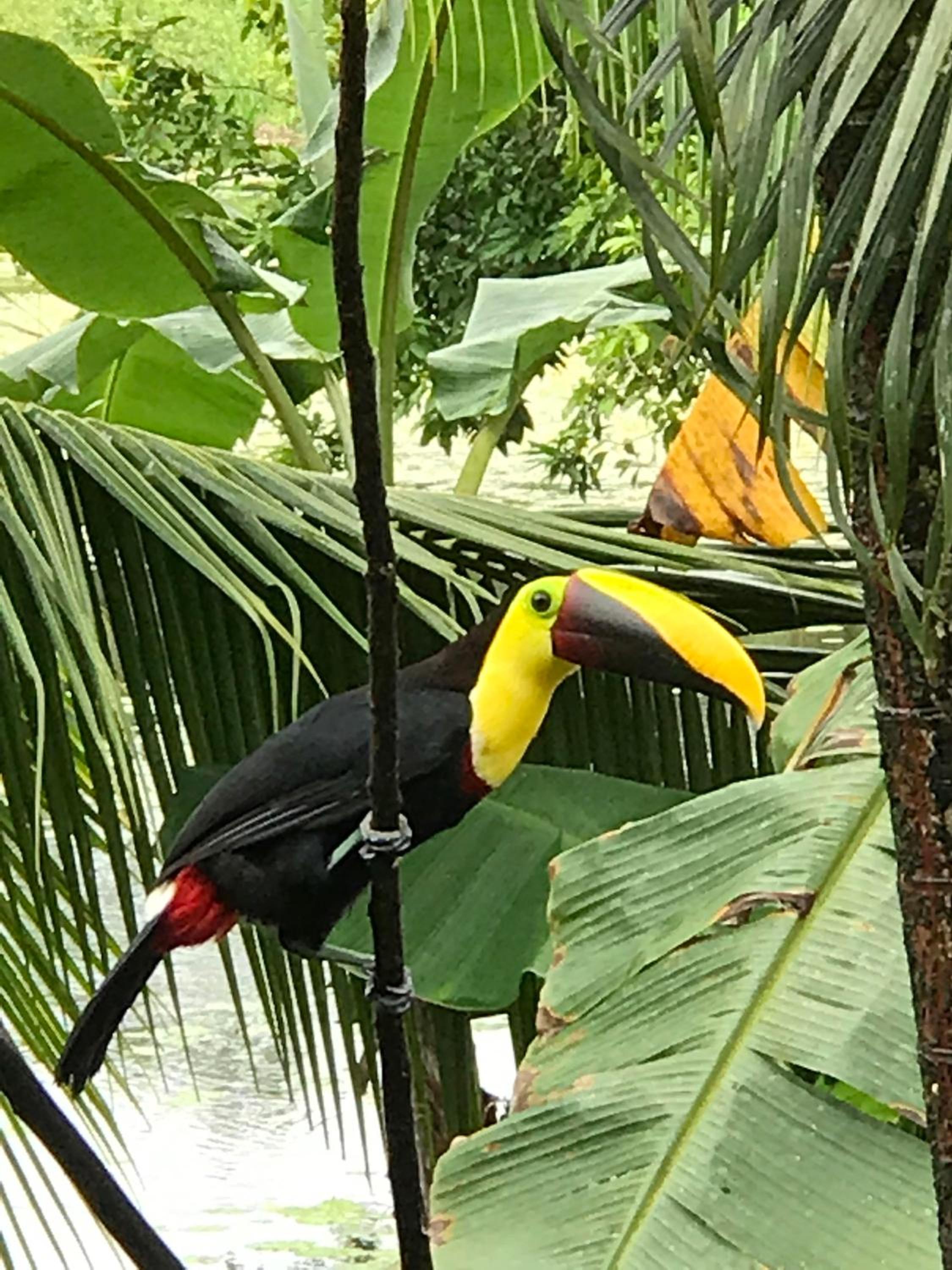 Hotel El Encanto