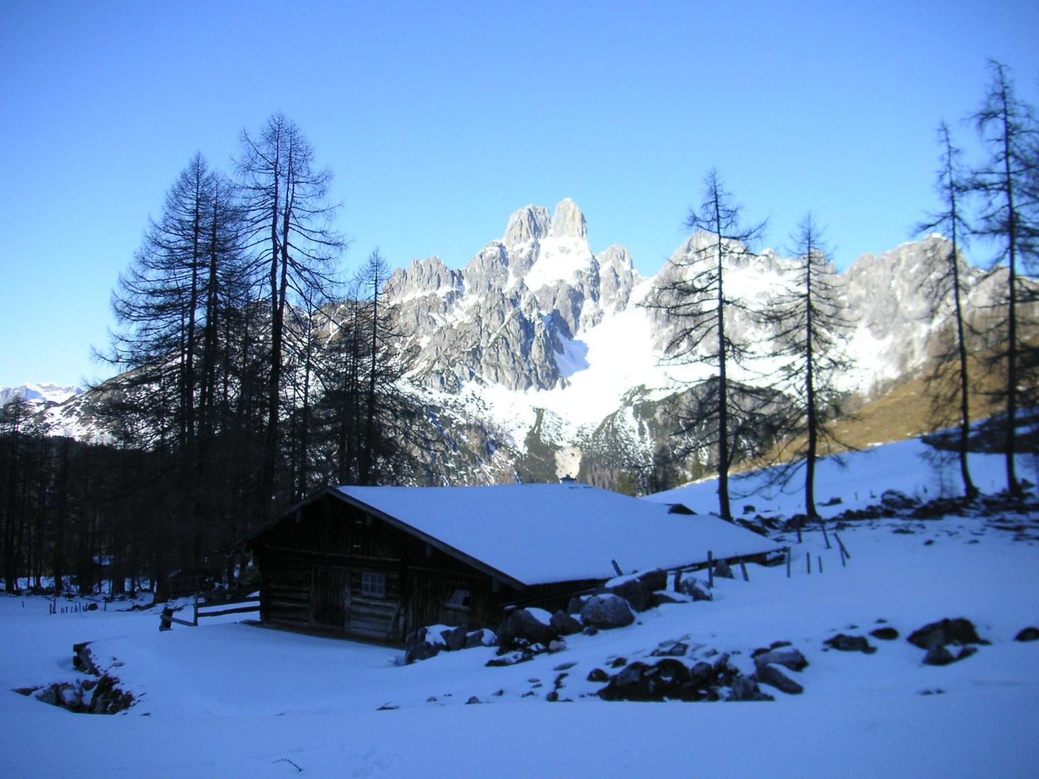 Photo 8