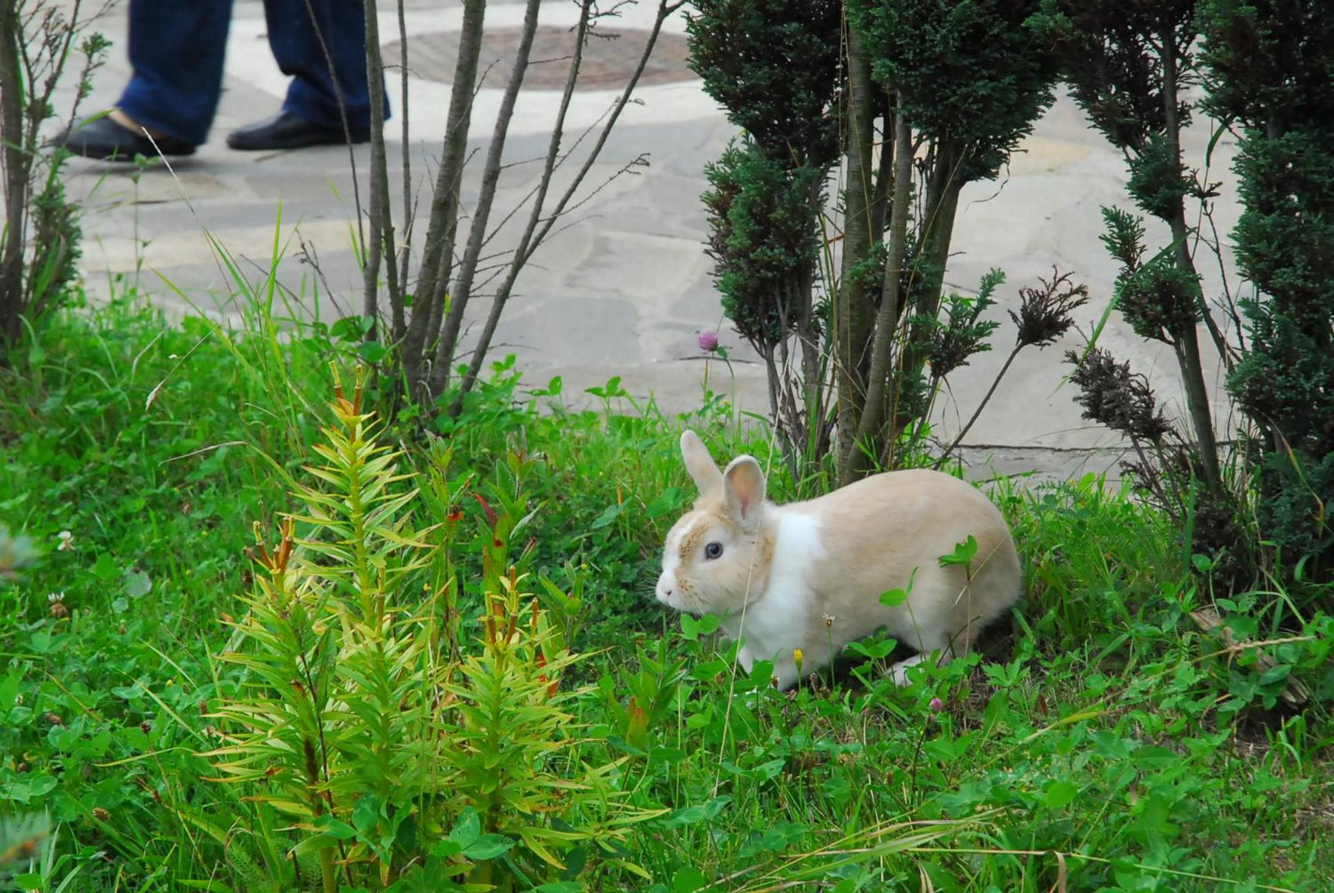 Photo 53