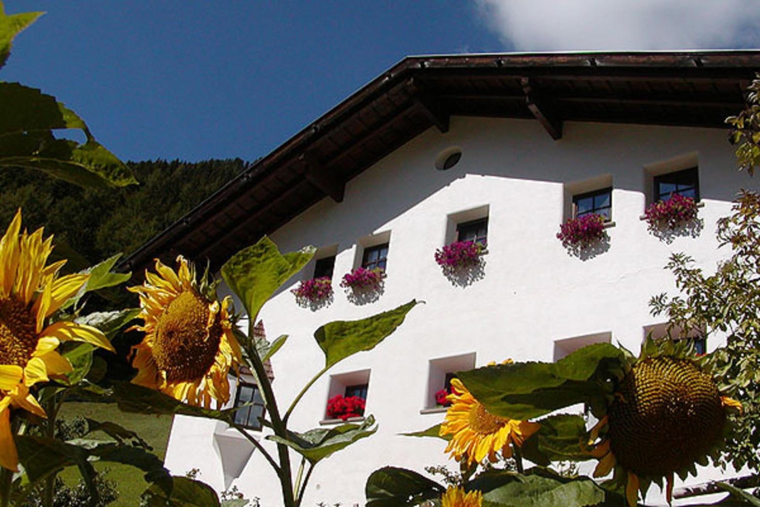 Agriturismo Apartments Tuene