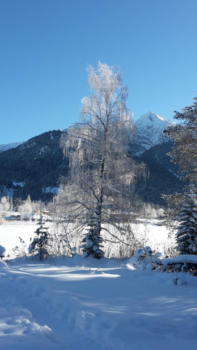 Haus Föhrenwald Ferienwohnung Mundeblick
