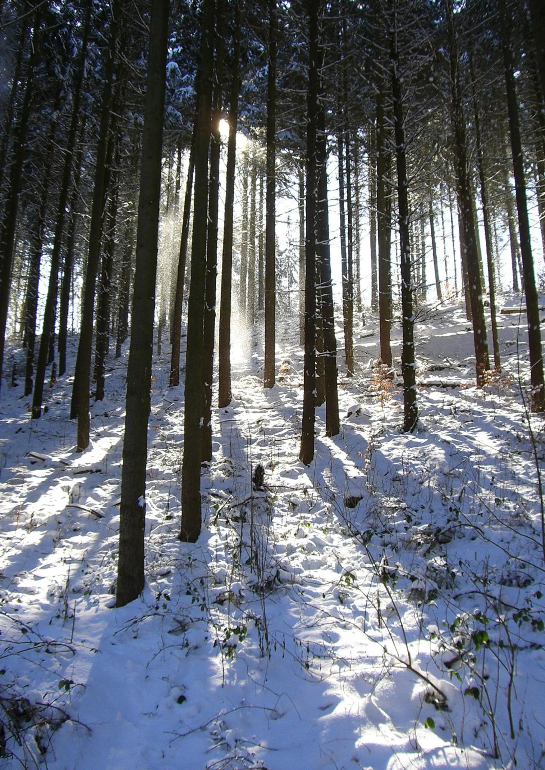 Ferienwohnungen Traumblick im Nahetal
