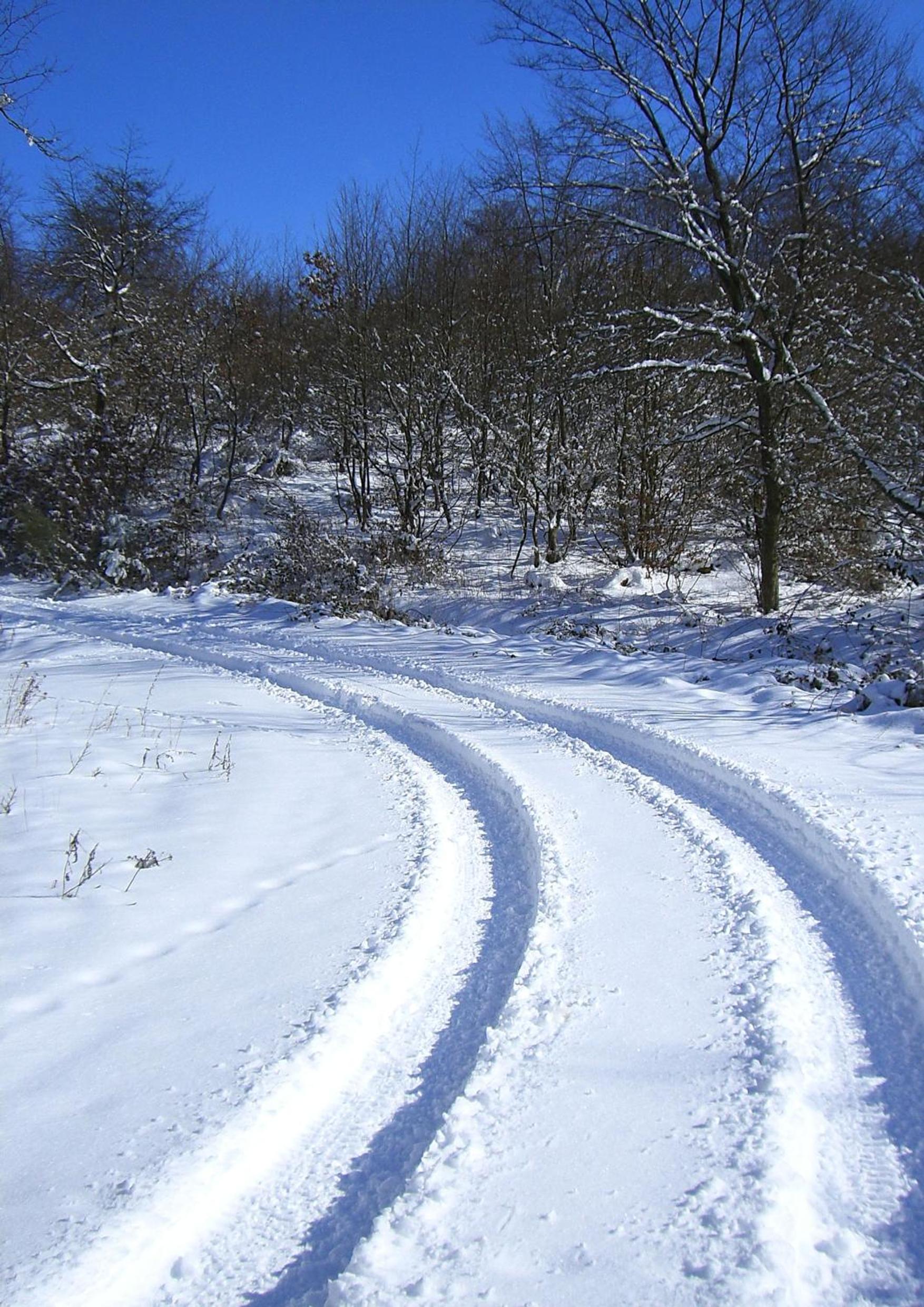 Ferienwohnungen Traumblick im Nahetal