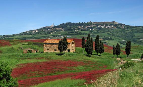 Agriturismo Val di Sterza view 4