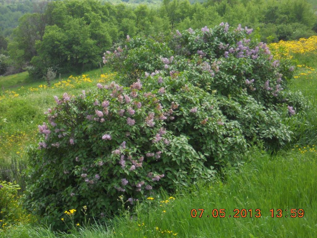 Photo 28