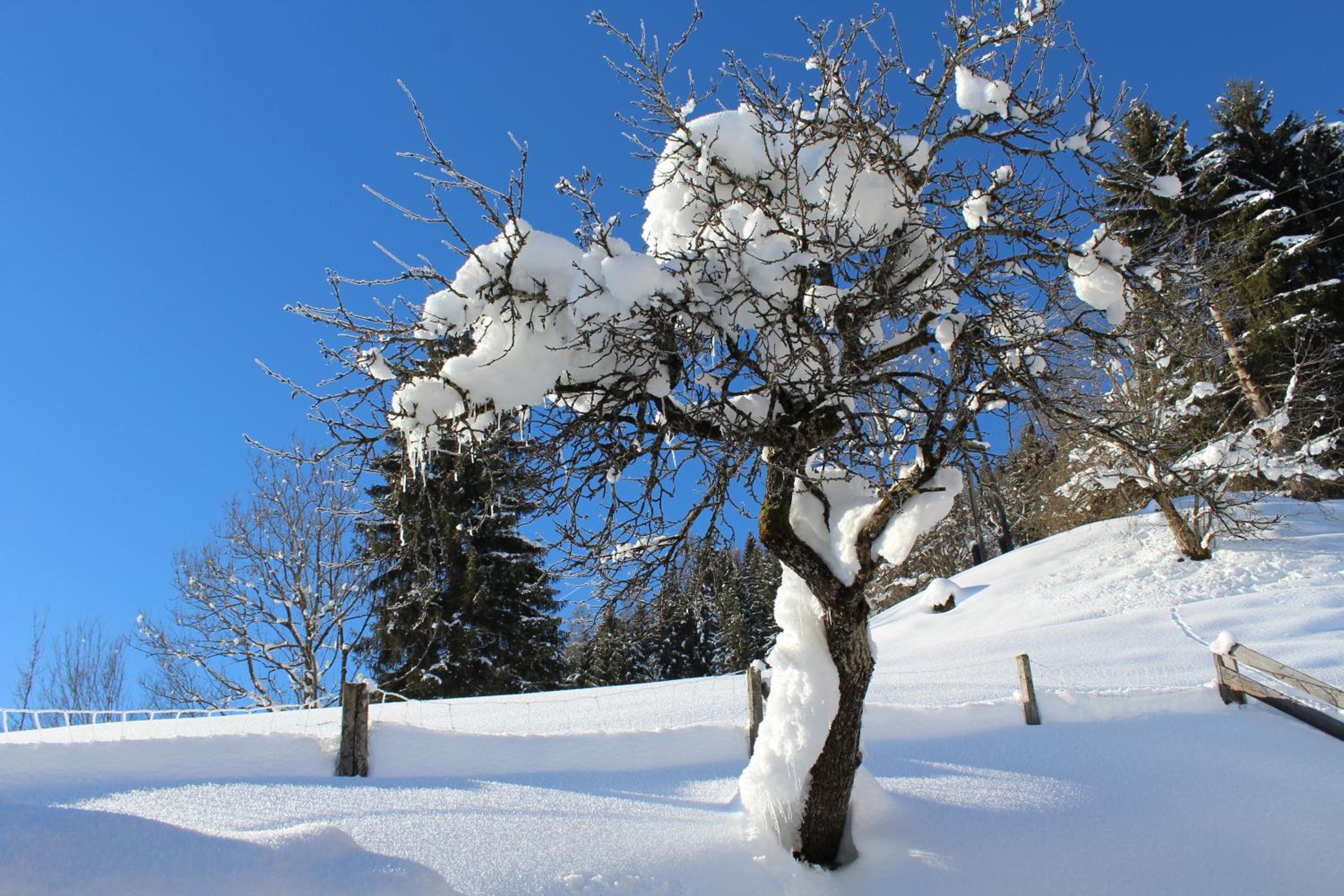 Laubichlhof view 2