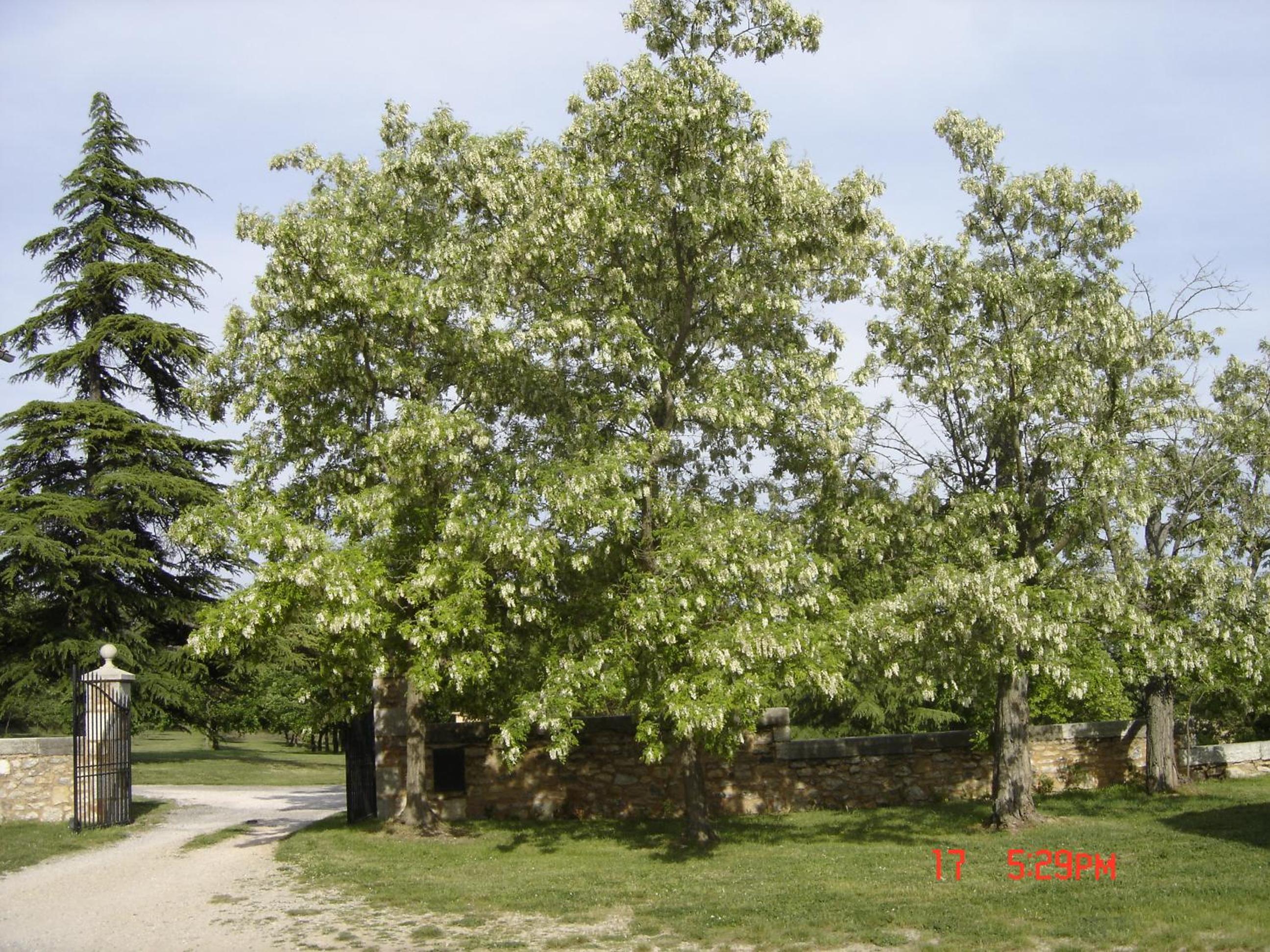 Domaine Notre Dame view 4
