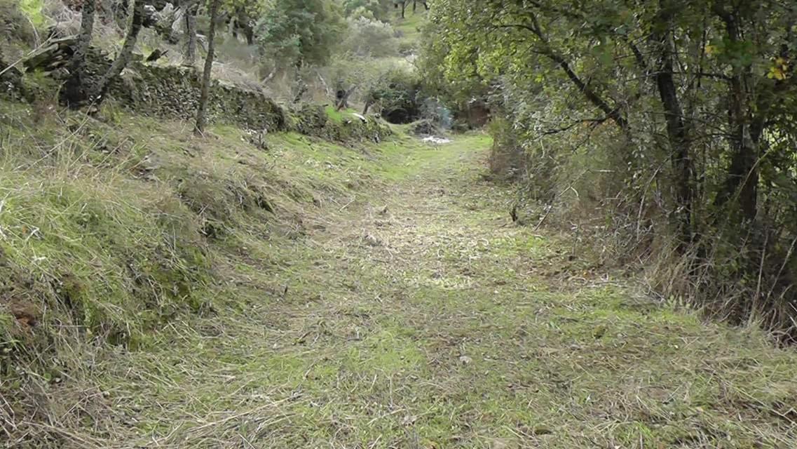 Photo 30