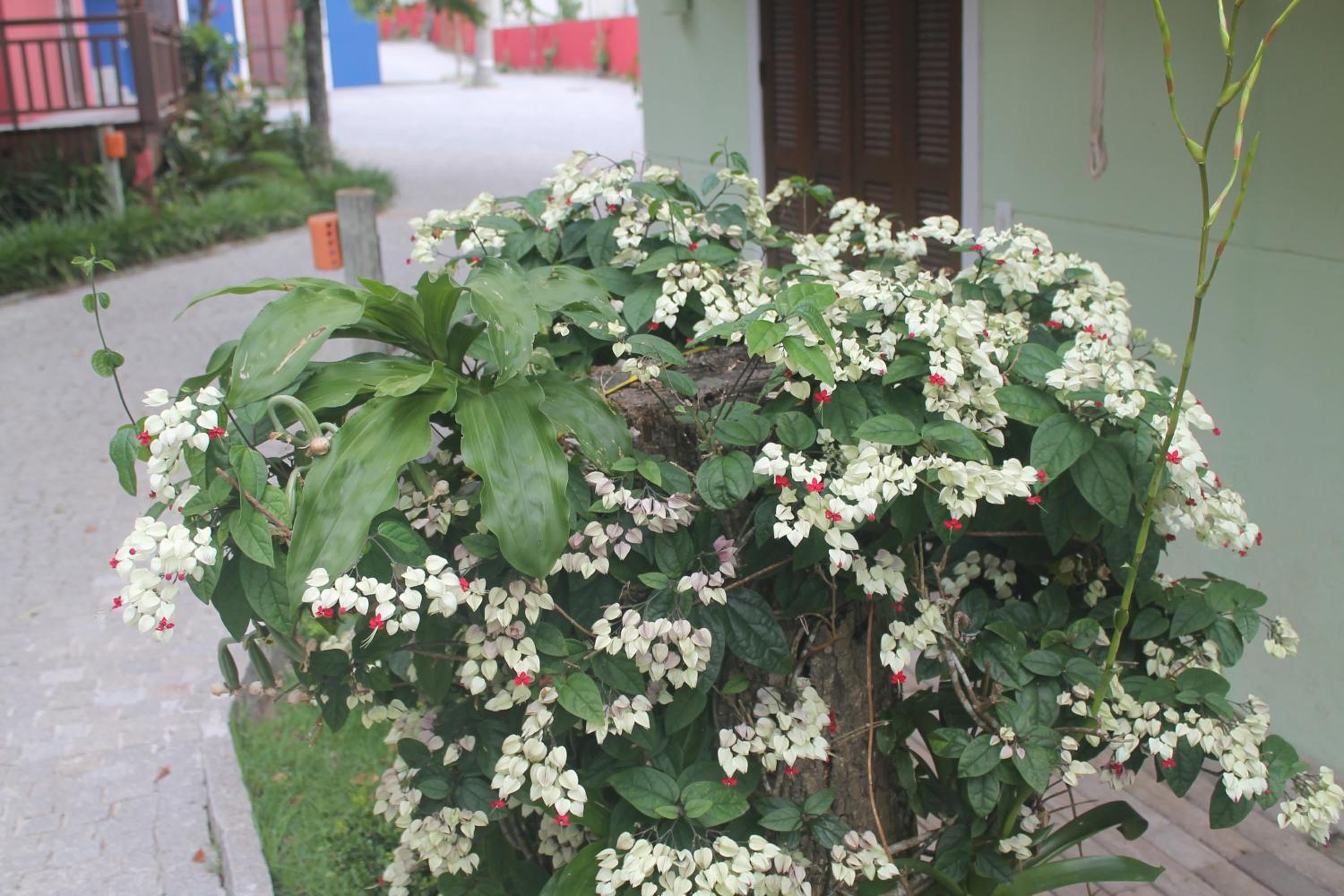 Photo 85