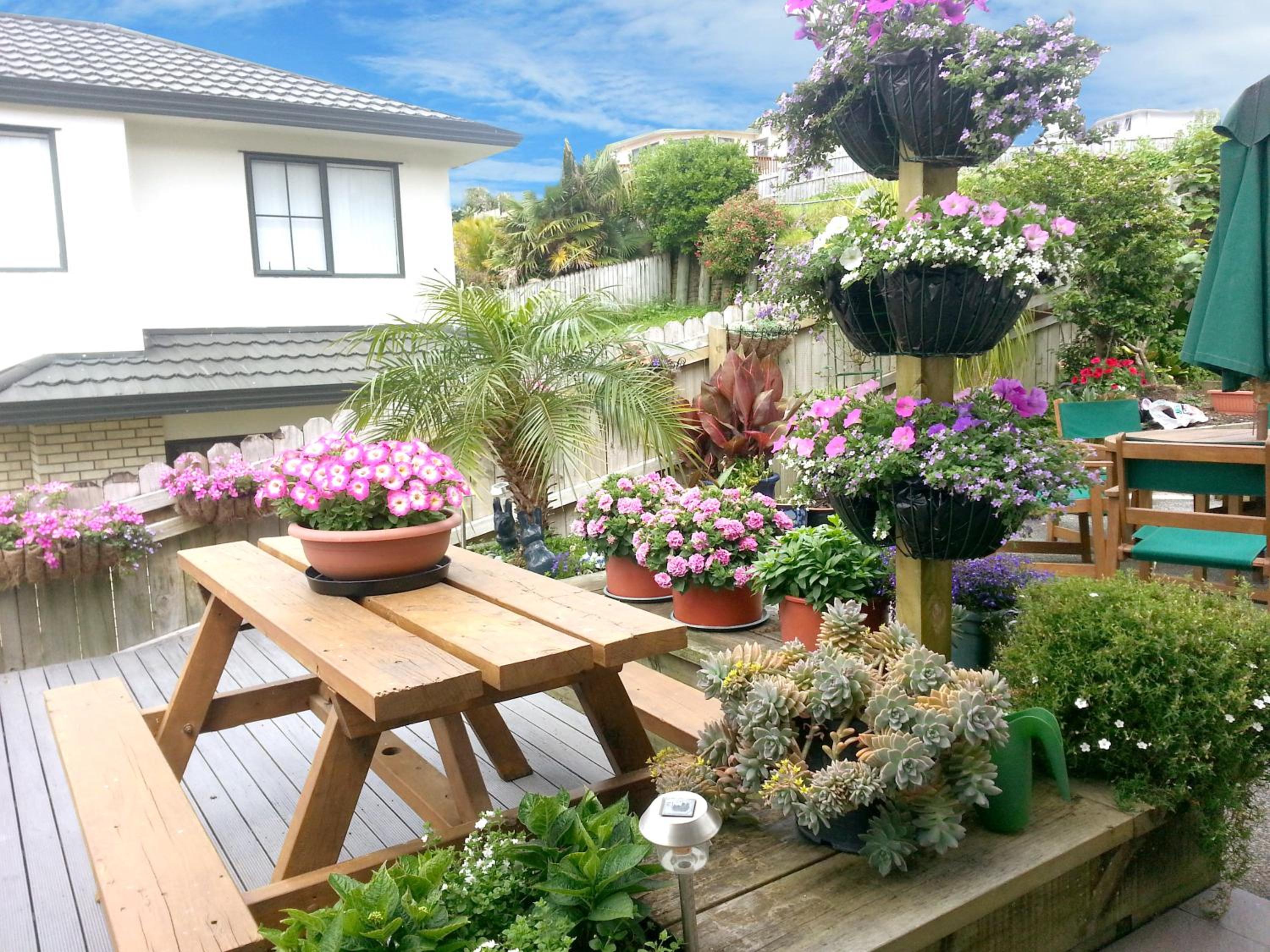 Lush & Co Auckland Bed & Breakfast