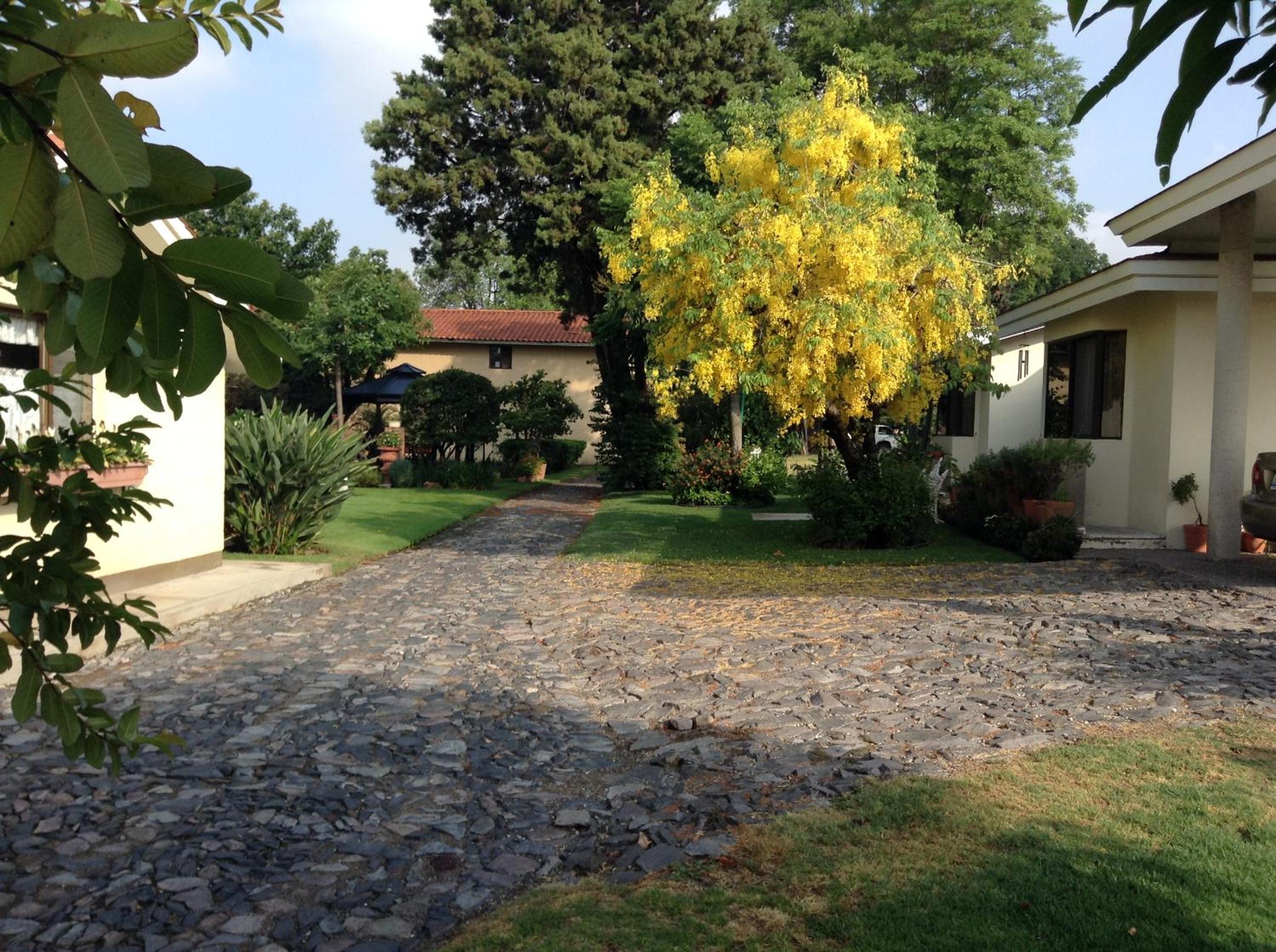 Photo 43
