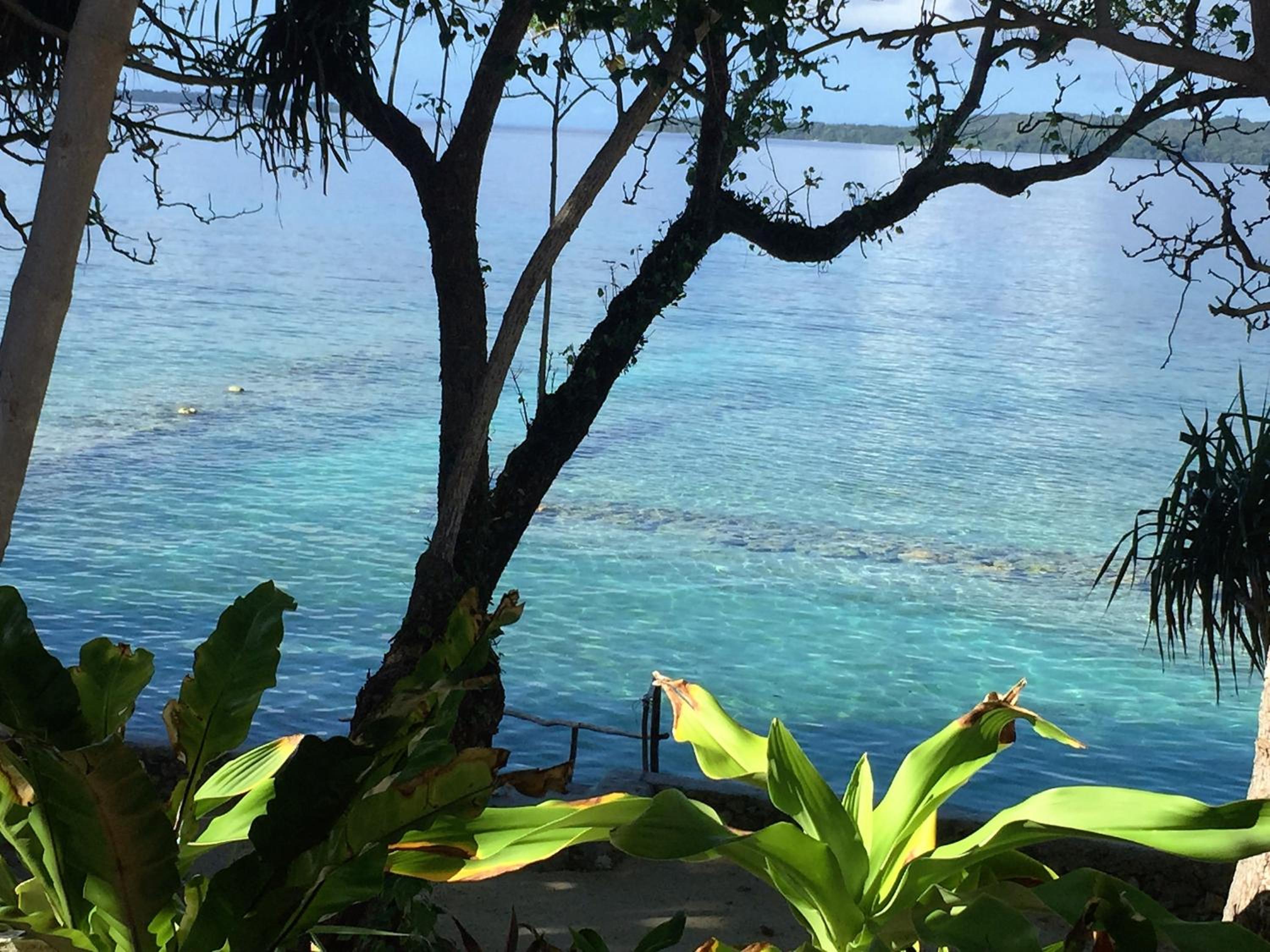Island View Cottages