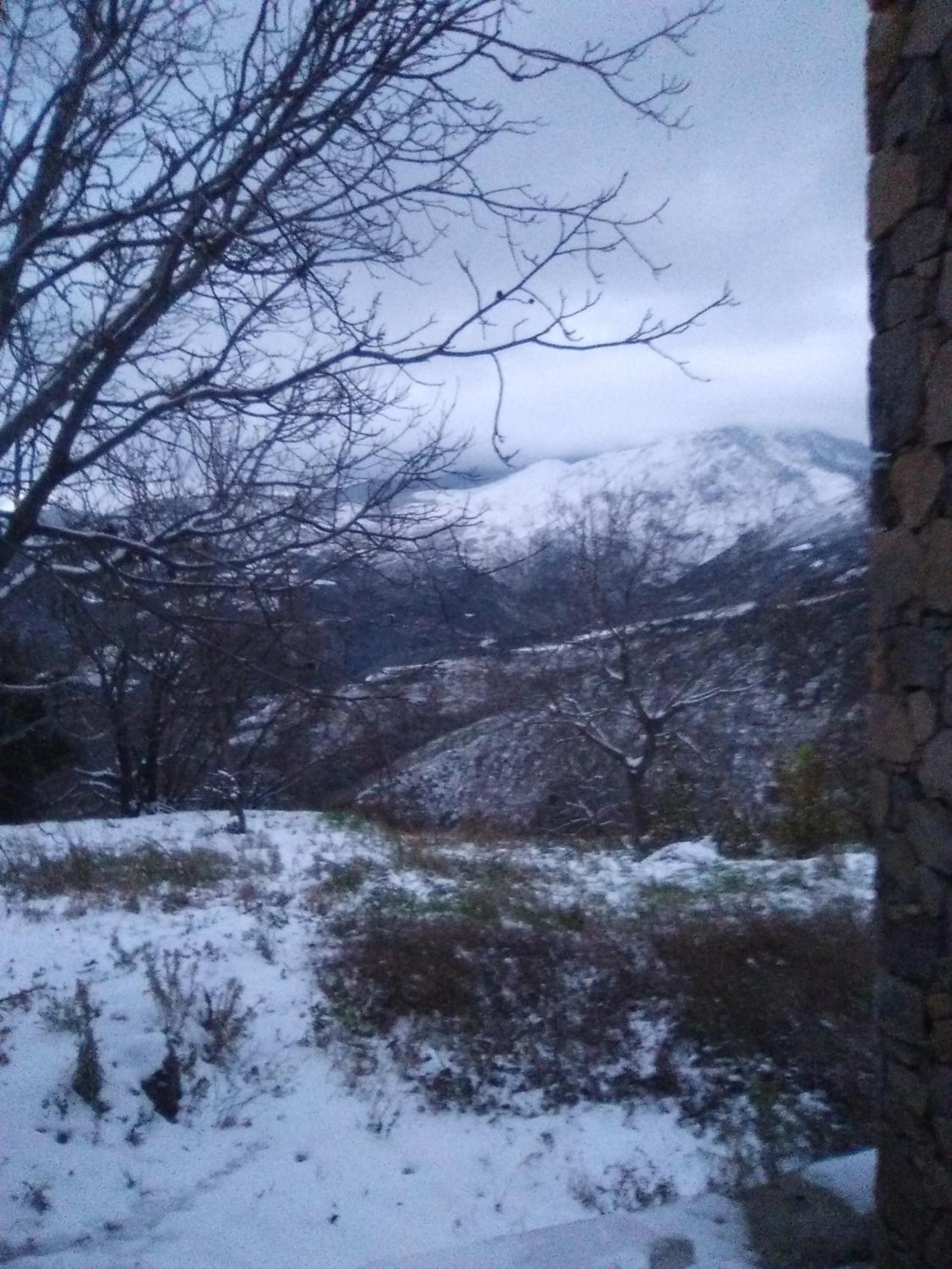 Photo 43