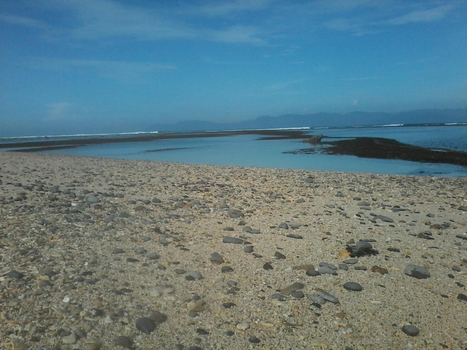 Photo 44