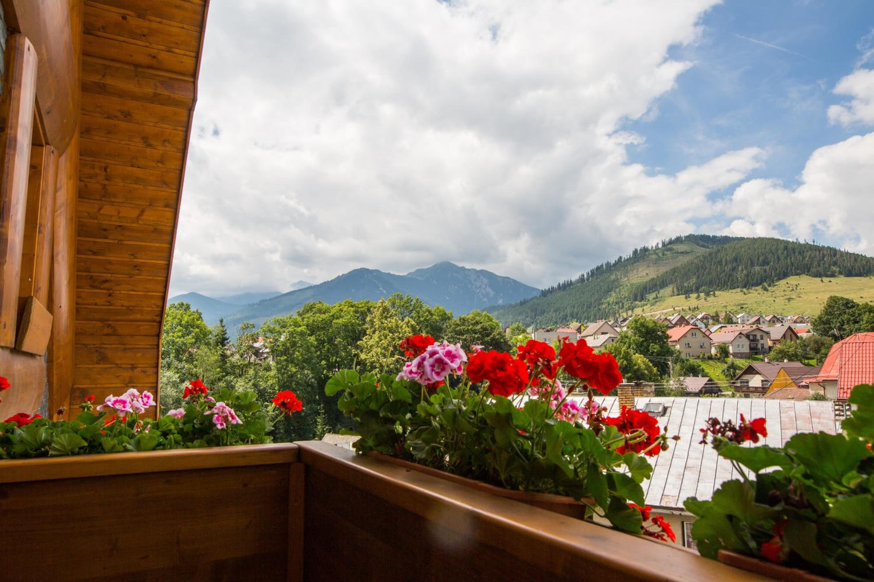 The Golden Eagle view 5
